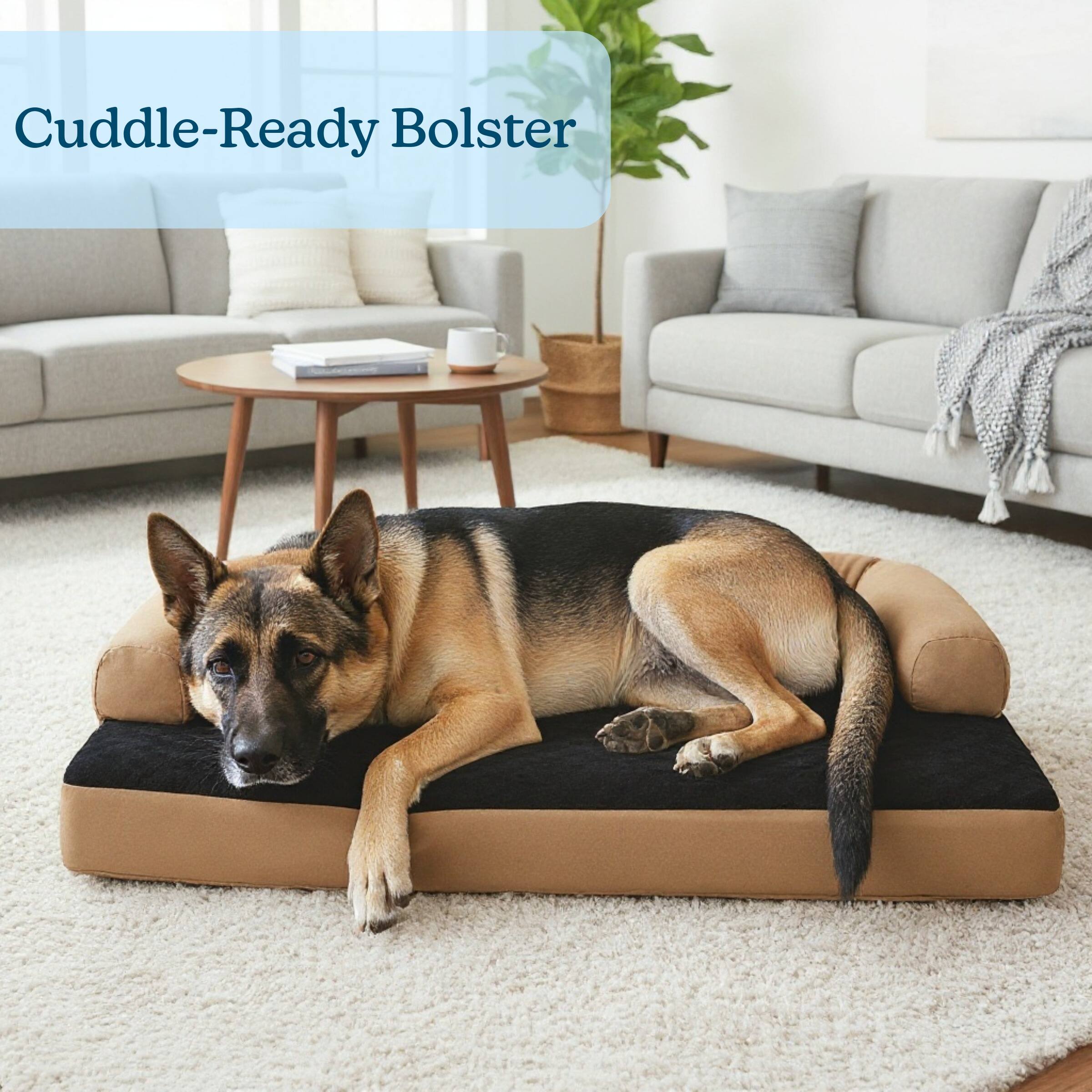 Cuddle-Ready Bolster