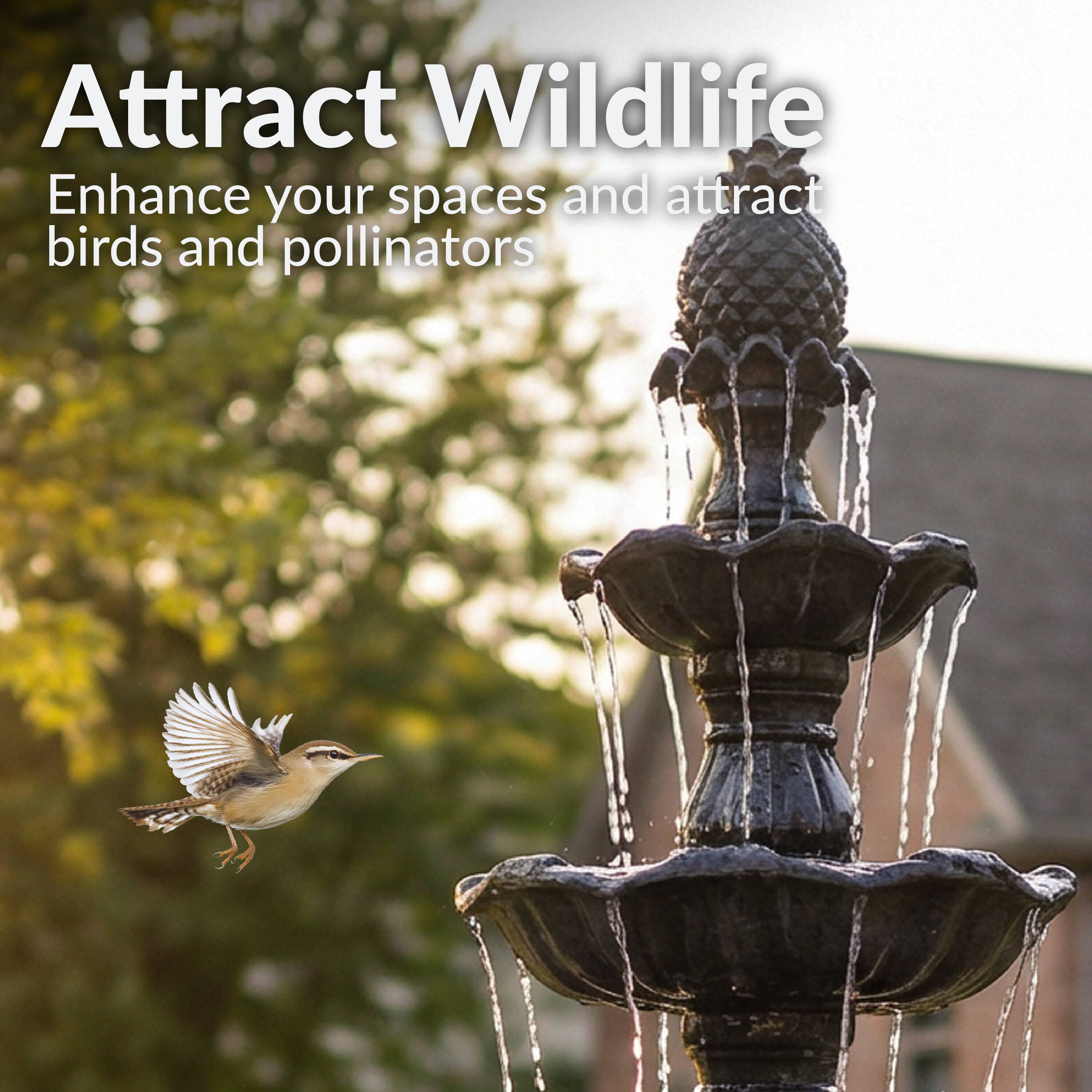 Attract Wildlife  
Enhance your spaces and attract birds and pollinators