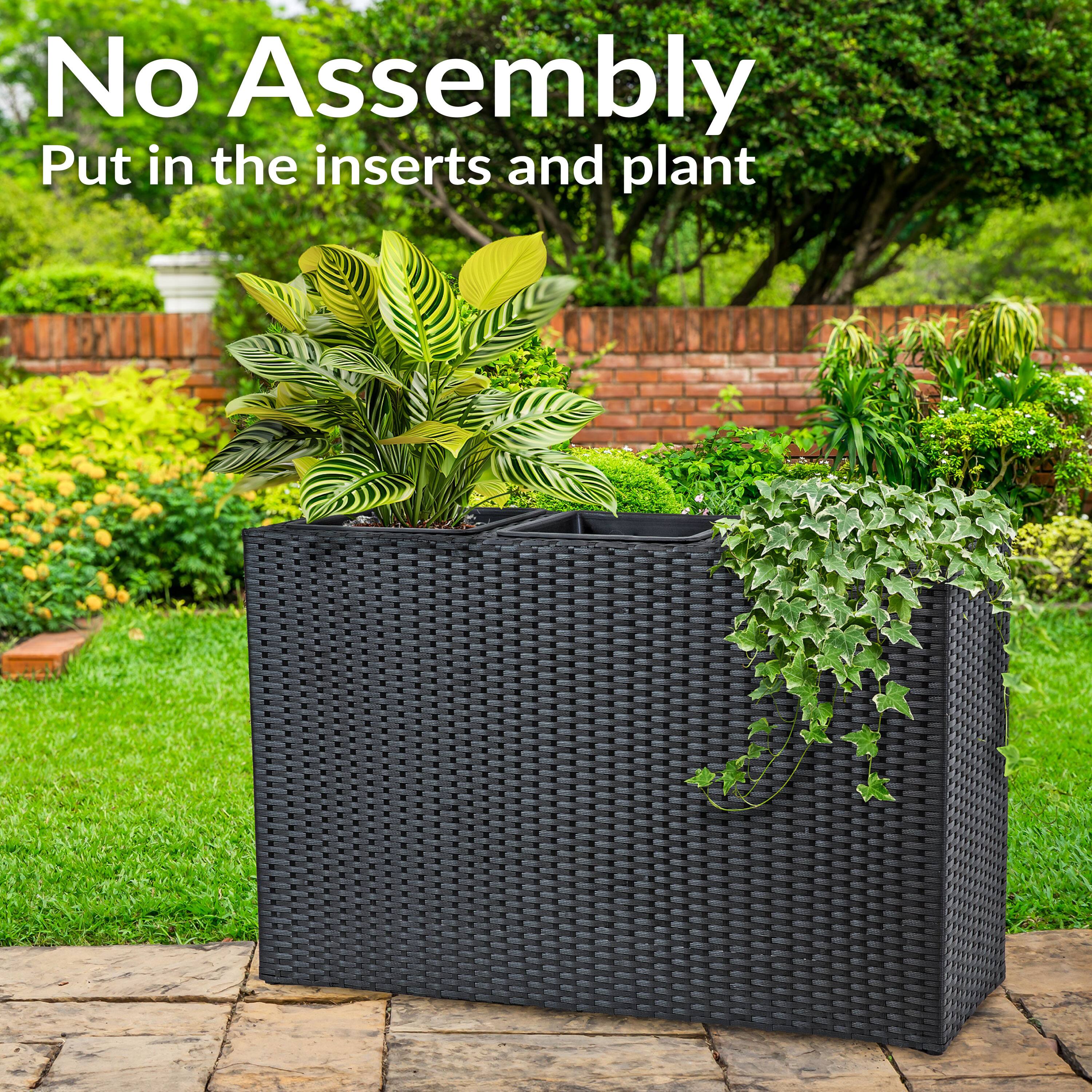 No Assembly  
Put in the inserts and plant