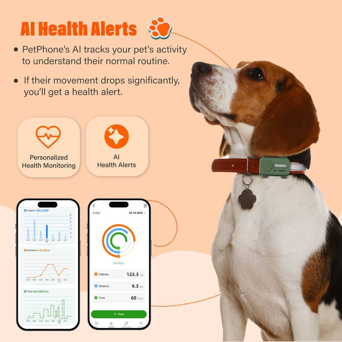 AI Health Alerts  
PetPhone's AI tracks your pet's activity to understand their normal routine. If their movement drops significantly, you'll get a health alert.  

Personalized Health Monitoring  
AI Health Alerts  

Calories 123.3/230  
Distance 9.3 km  
Time 60/130 mins