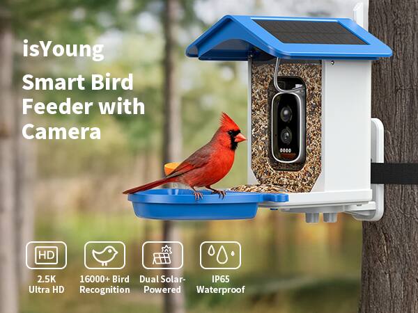 isYoung Smart Bird Feeder with Camera  
HD 2.5K Ultra HD  
16000+ Bird Recognition  
Dual Solar-Powered  
IP65 Waterproof