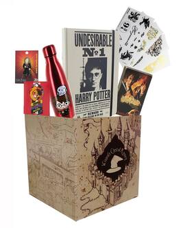 Toynk - Harry Potter Collectibles | LookSee Collectors Box