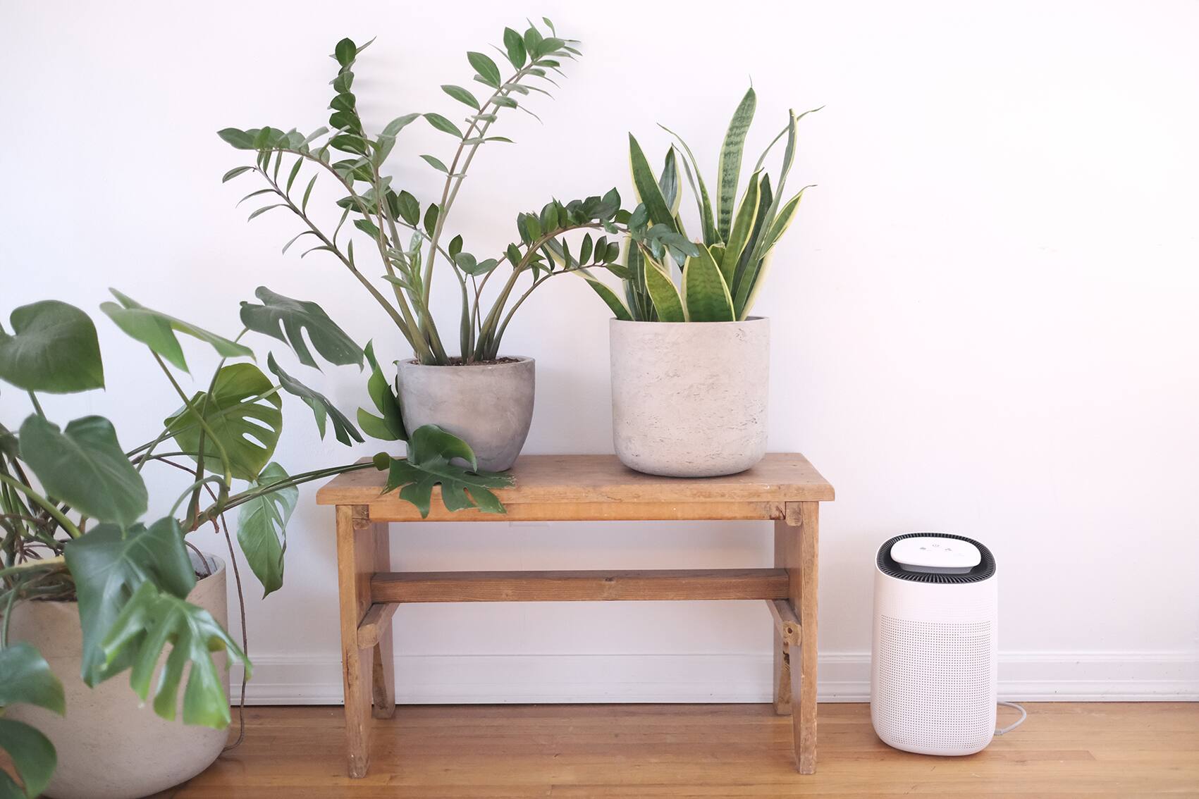 Back. JS Innovations - JS Vanguard 2.0 - 2-in-1 Air Purifier HEPA and Dehumidifier.