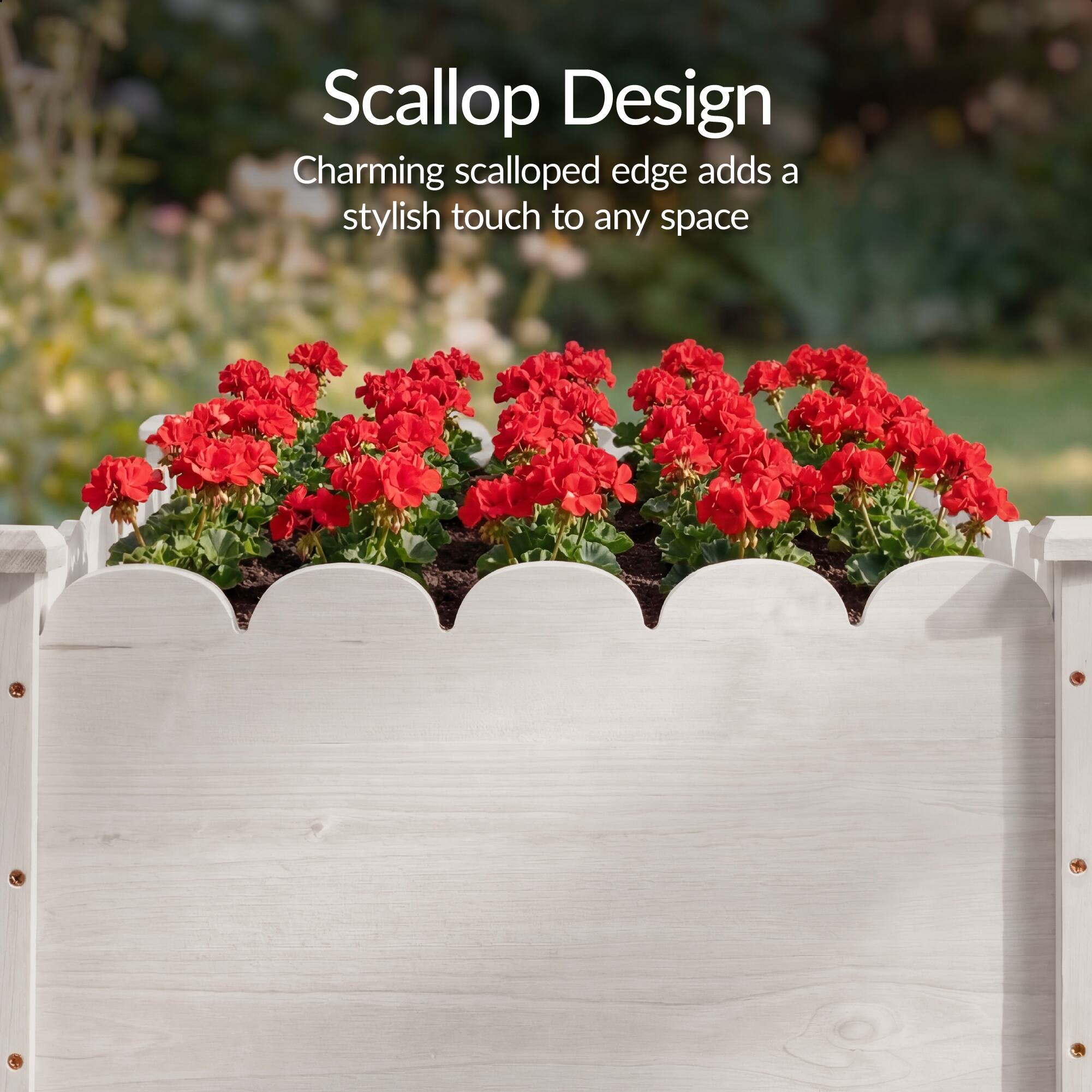 Scallop Design  
Charming scalloped edge adds a stylish touch to any space