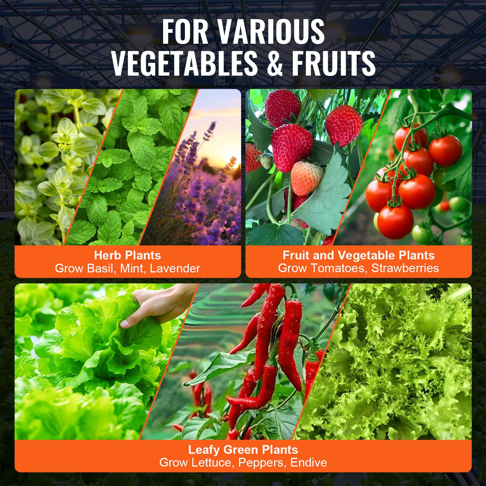 FOR VARIOUS VEGETABLES & FRUITS

Herb Plants  
Grow Basil, Mint, Lavender

Fruit and Vegetable Plants  
Grow Tomatoes, Strawberries

Leafy Green Plants  
Grow Lettuce, Peppers, Endive