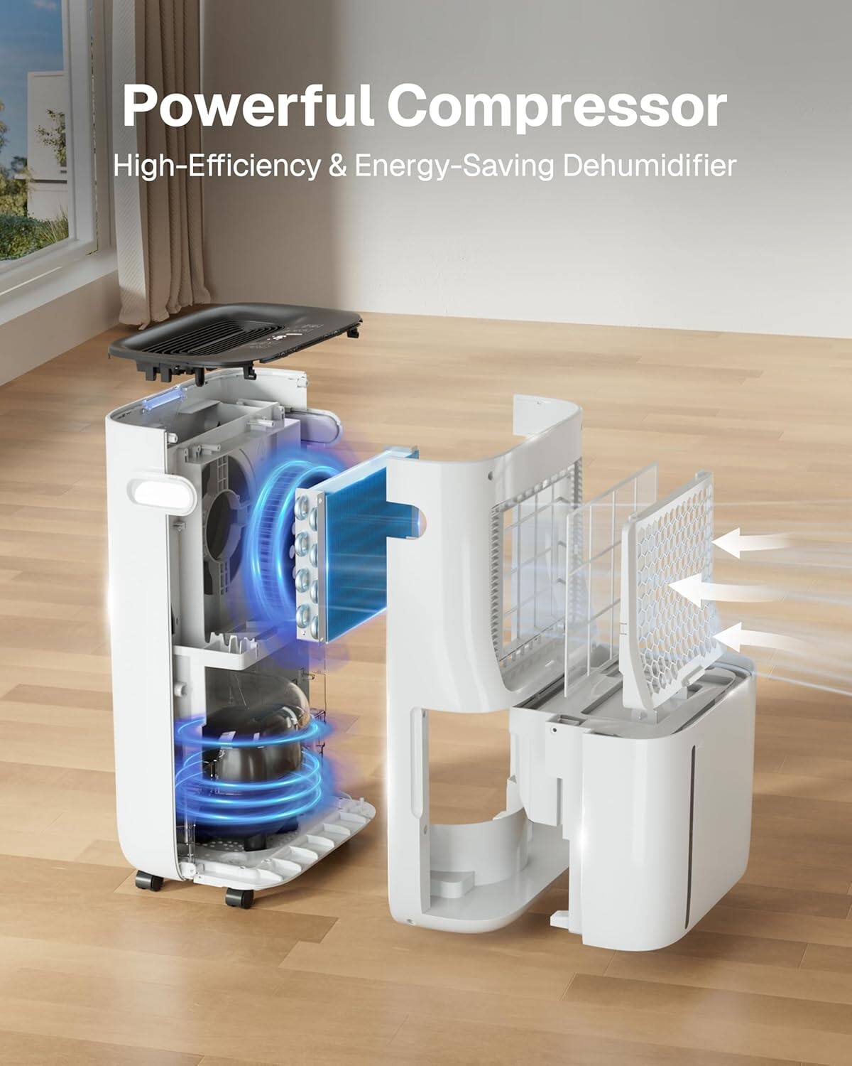 Powerful Compressor  
High-Efficiency & Energy-Saving Dehumidifier