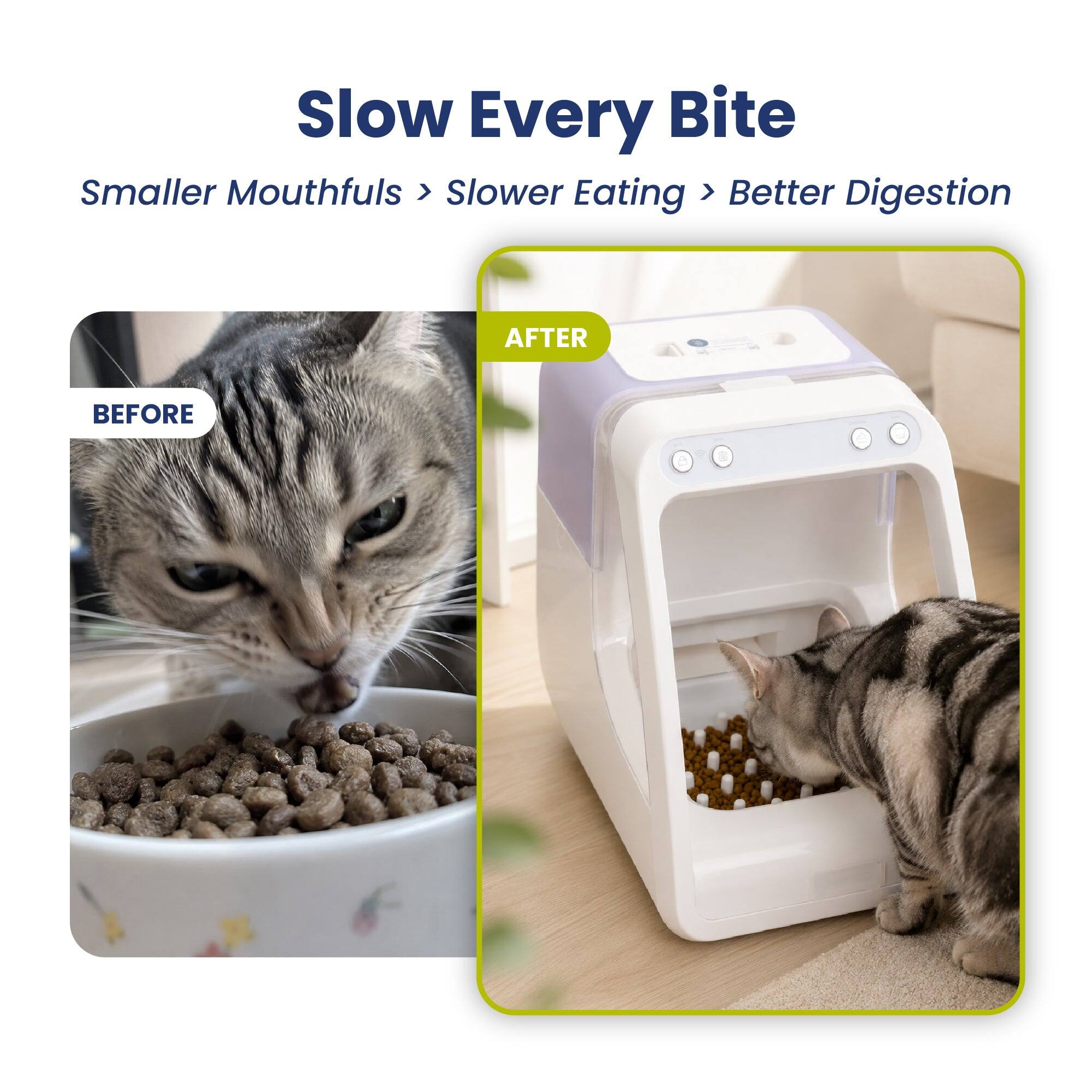 Slow Every Bite  
Smaller Mouthfuls > Slower Eating > Better Digestion  

BEFORE  
AFTER