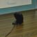 Back. Tram - Sirius and SiriusXM Home Antenna - Black.