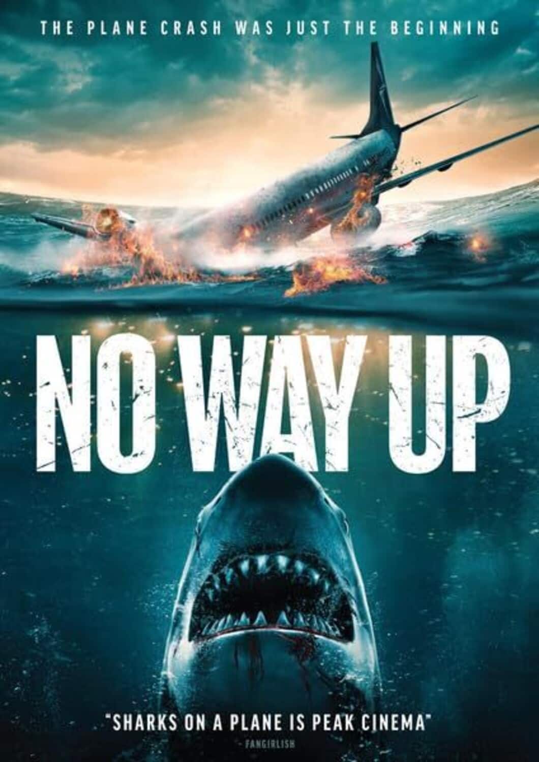 No Way Up  - DVD