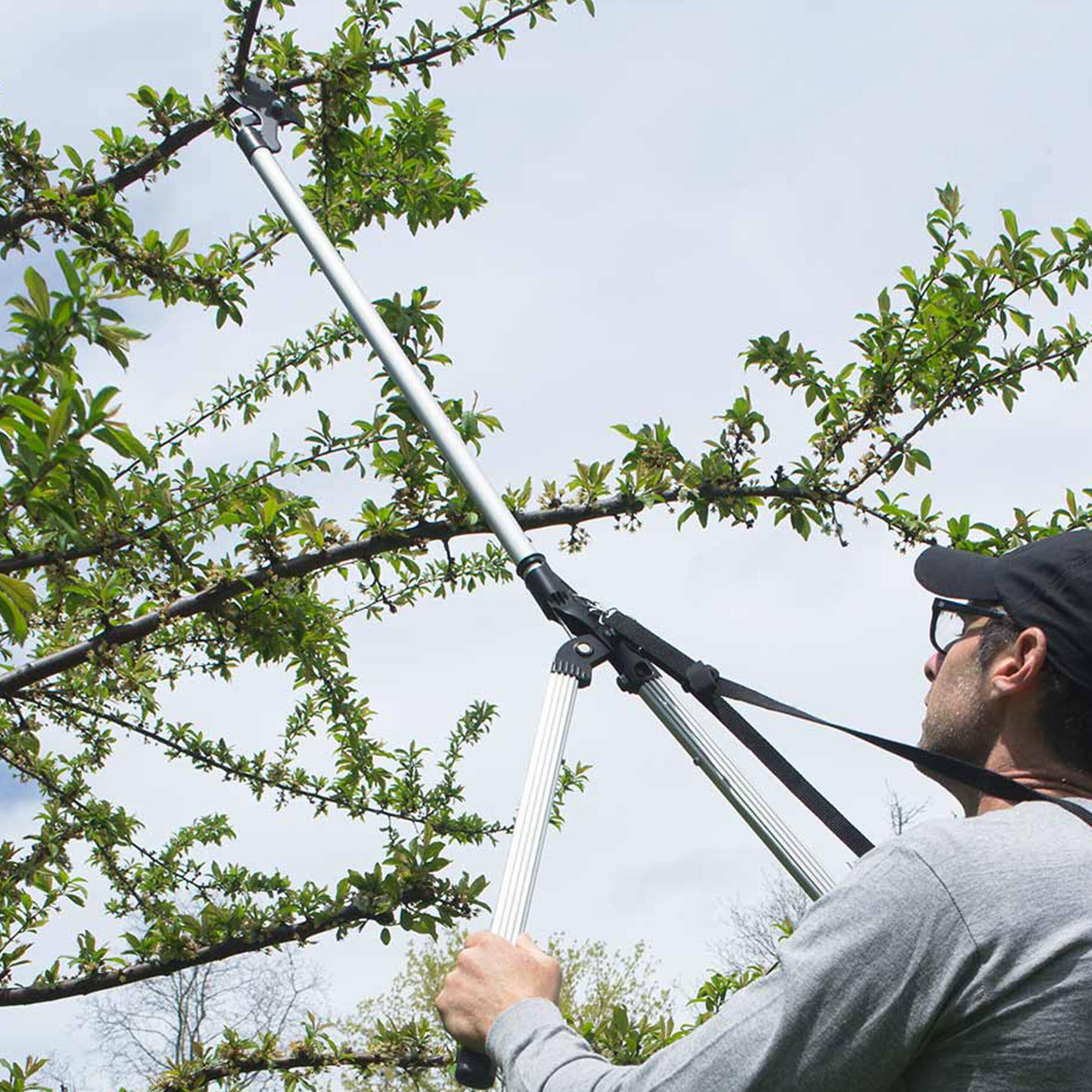 Alt View 3. Kings County Tools - 59-Inch Tree Trimmer Pruners - Silver and Black.