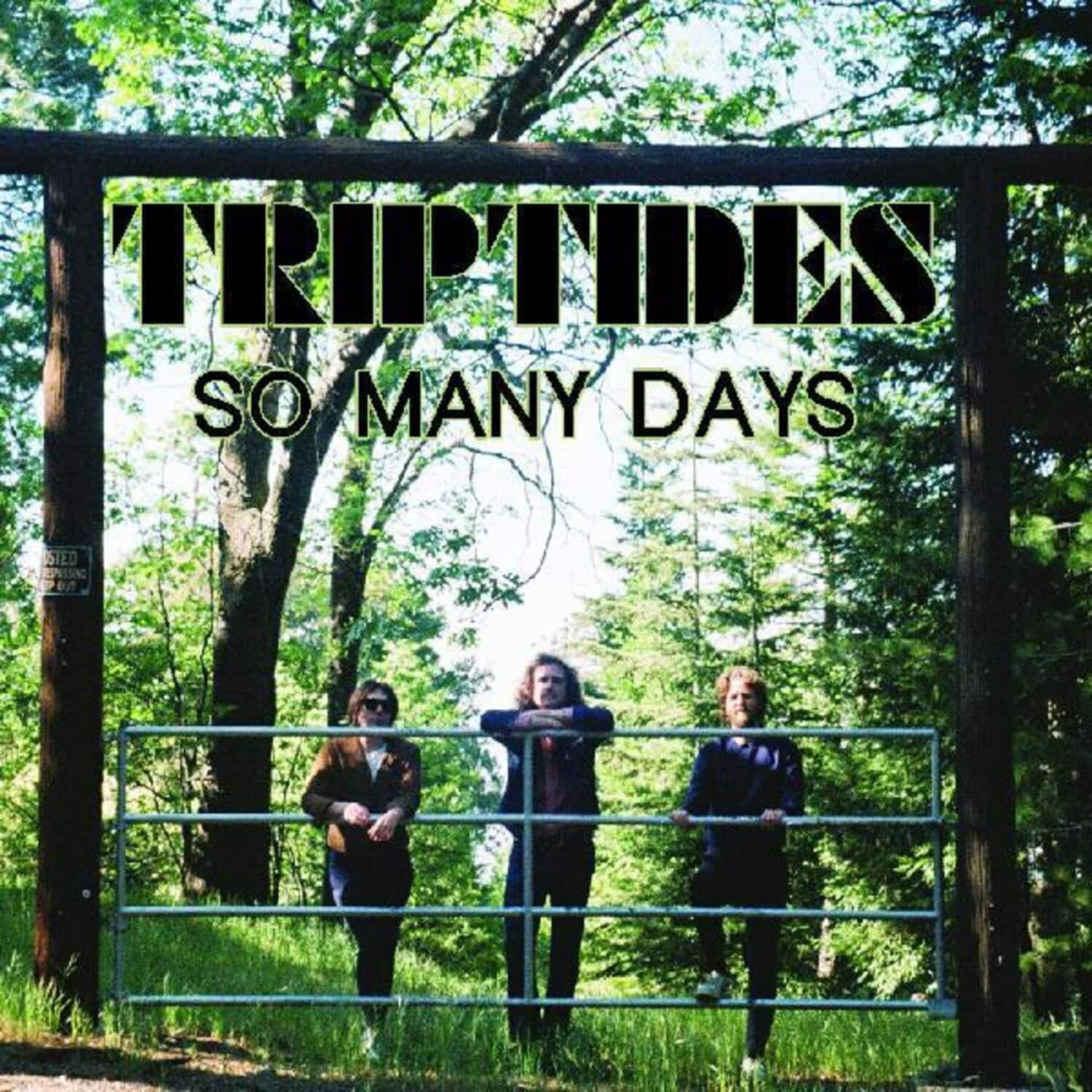 The Triptides - So Many Days   - 12-INCH SINGLE [12 inch Vinyl Single] price history on PriceWatchPro