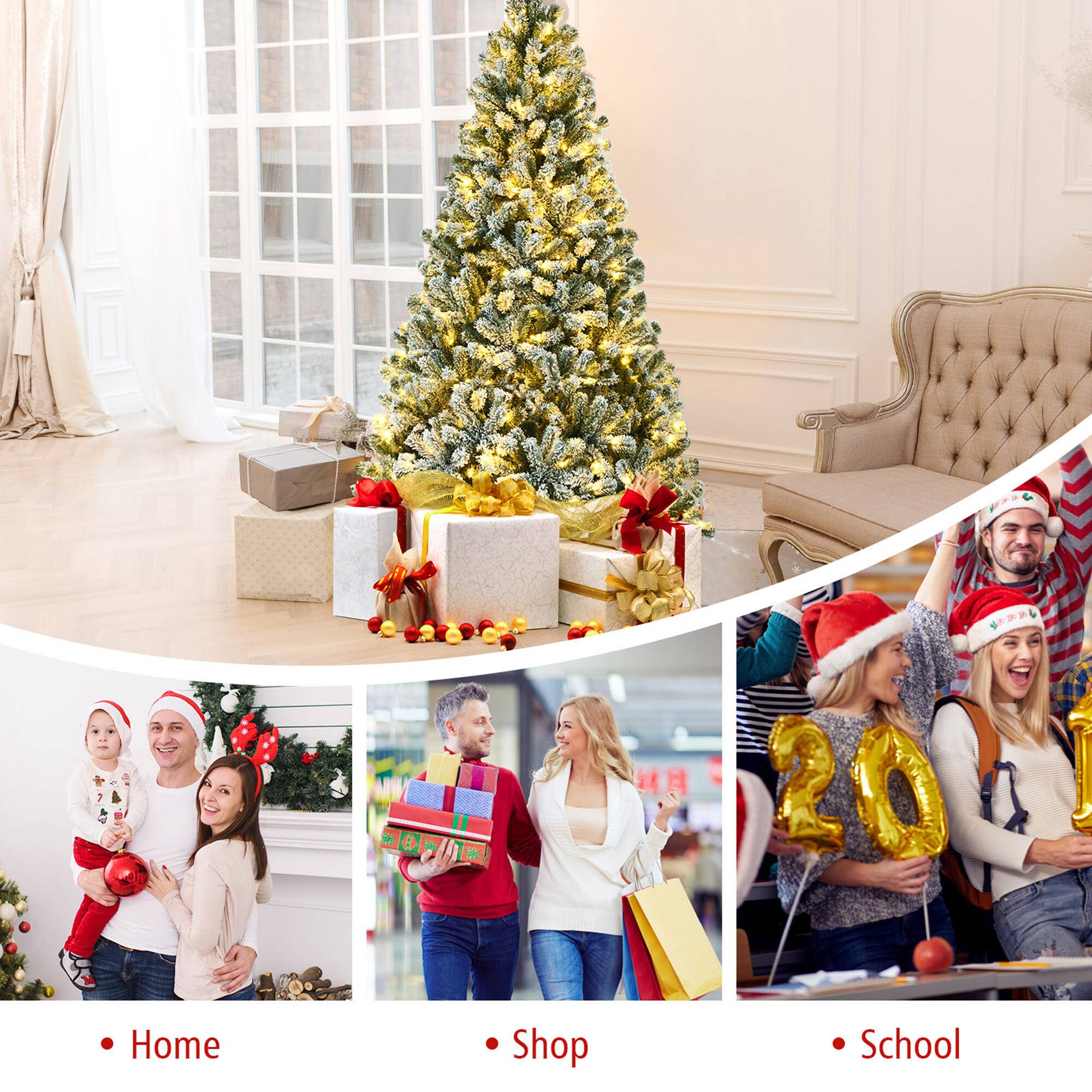 - Home
- Shop
- School