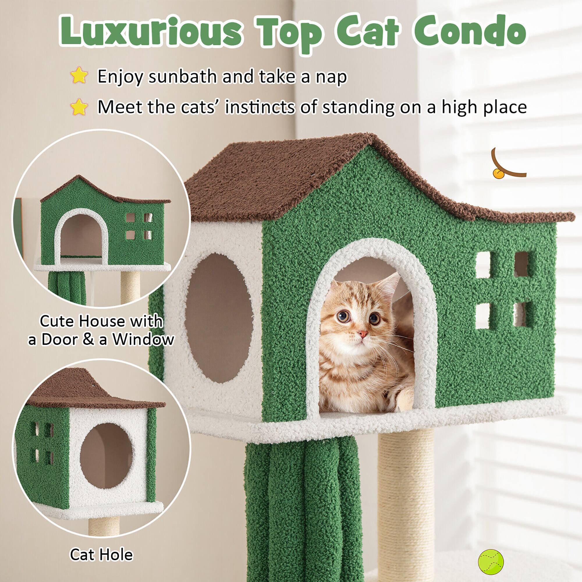 Luxurious Top Cat Condo

- Enjoy sunbath and take a nap
- Meet the cats' instincts of standing on a high place

Cute House with a Door & a Window

Cat Hole
