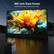 300-inch Giant Screen
Get the big-screen experience at home