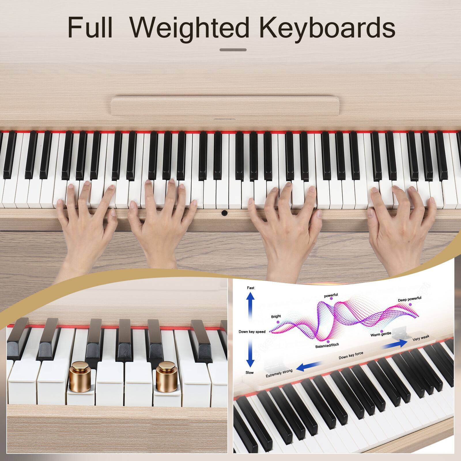 Full Weighted Keyboards

Fast down key speed  
Bright  
Balanced & Rich  
Warm tone  
Deep powerful  
Very weak  
Extremely strong