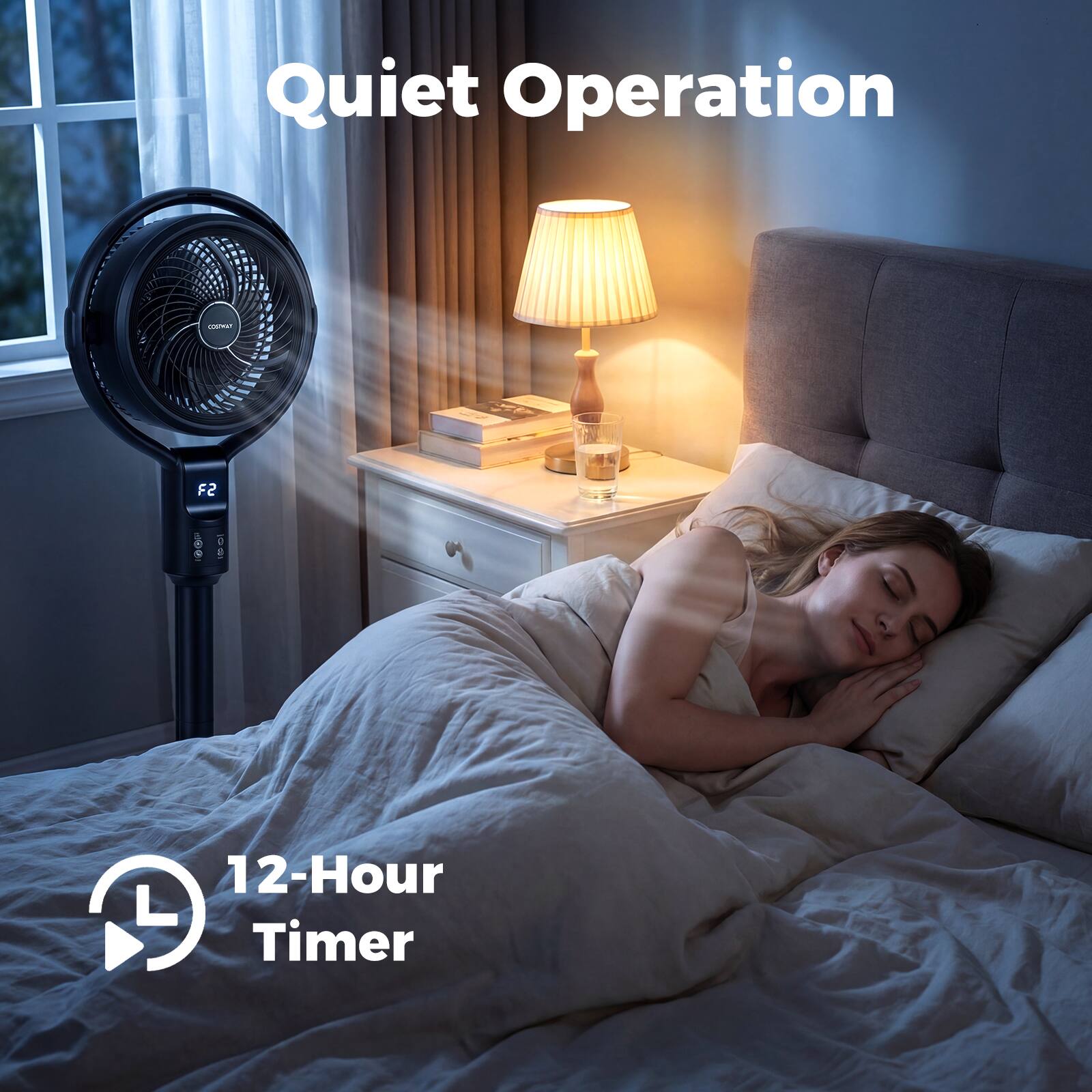 Quiet Operation  
12-Hour Timer