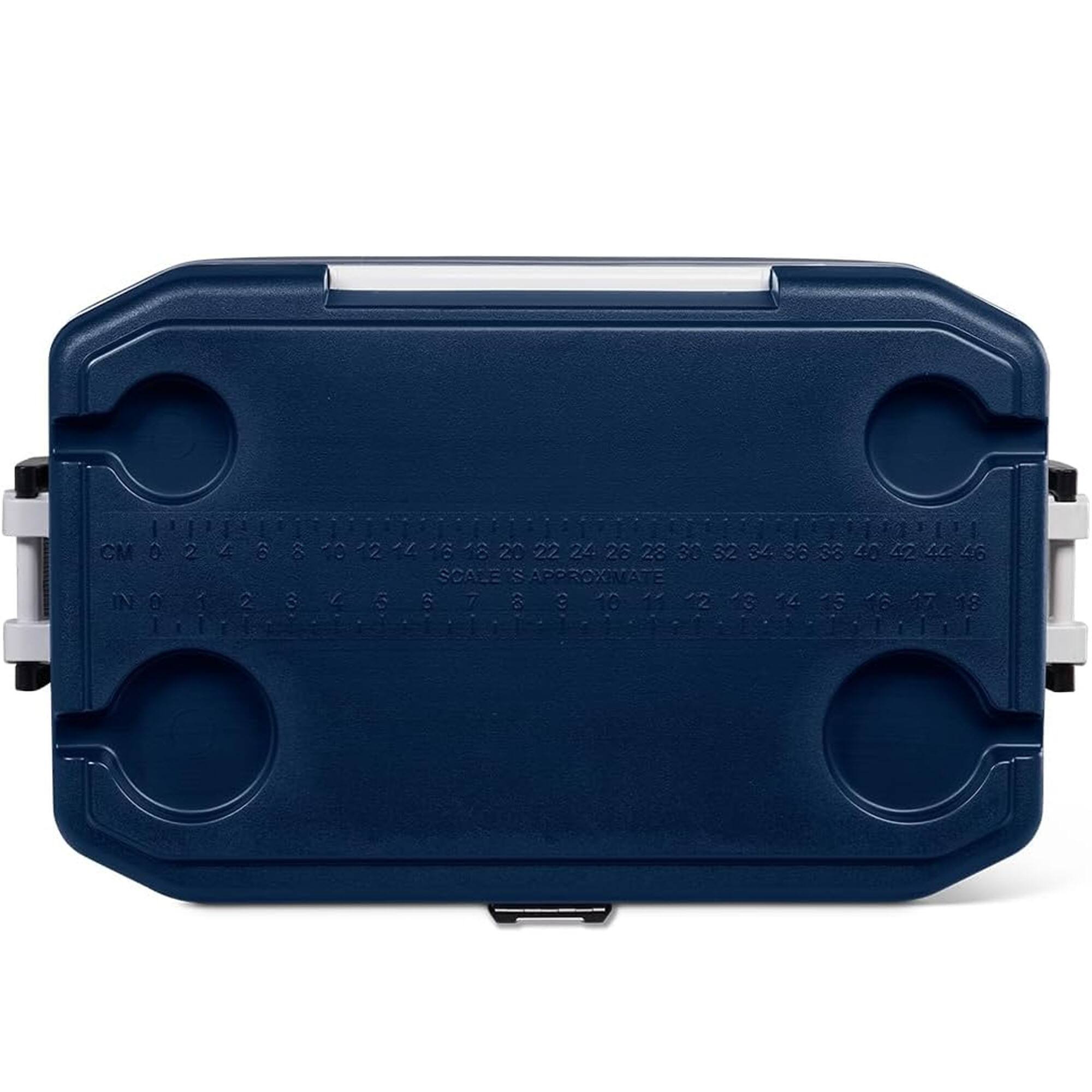 CM 0 2 4 6 8 10 12 14 16 18 20 22 24 26 28 30 32 34 36 38 40 42 44 46  
IN 0 1 2 3 4 5 6 7 8 9 10 11 12 13 14 15 16 17 18  
SCALE'S APPROXIMATE