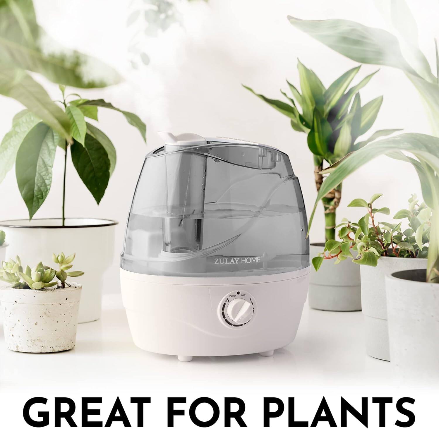 ZULAY HOME - GREAT FOR PLANTS