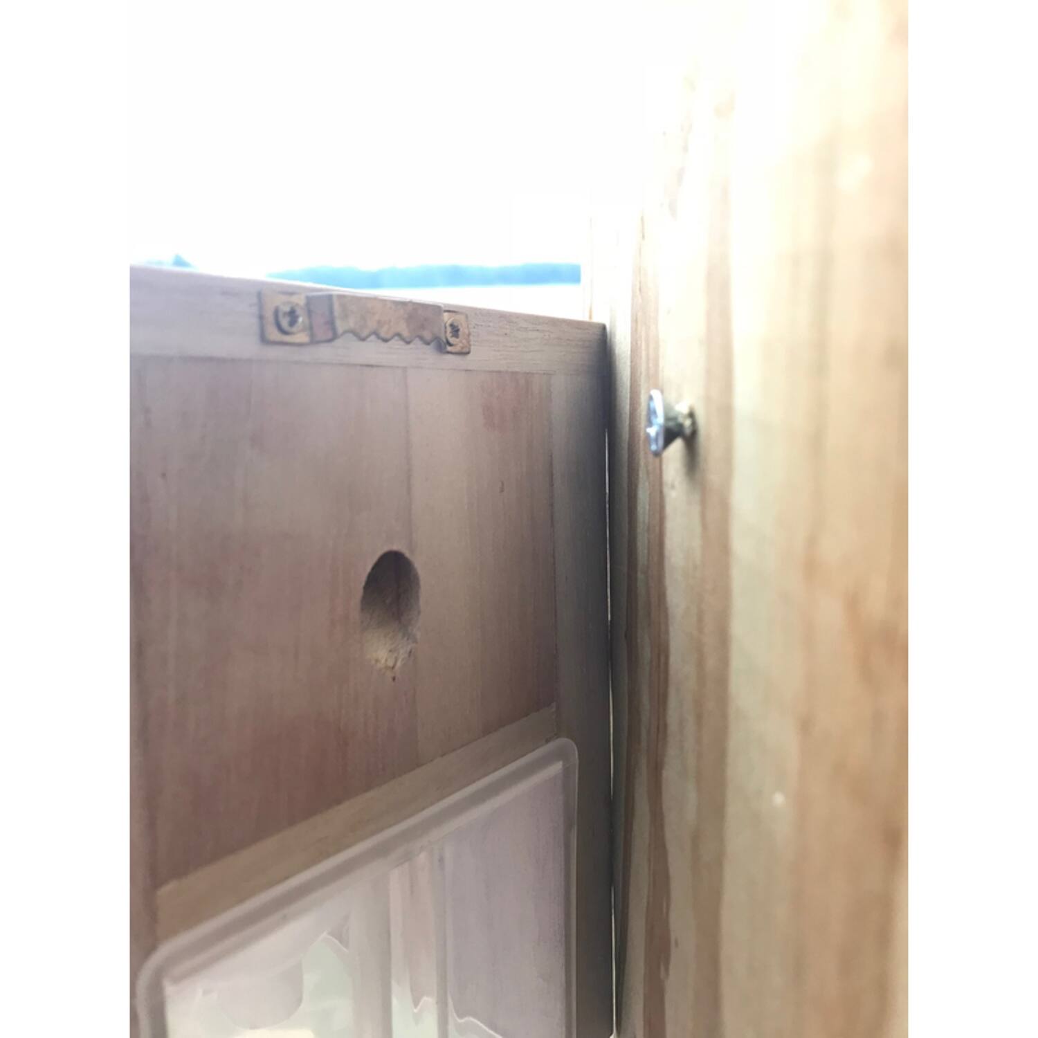 Angle. Bees N Things - Bees N Things Carpenter Bee Trap - Brown.