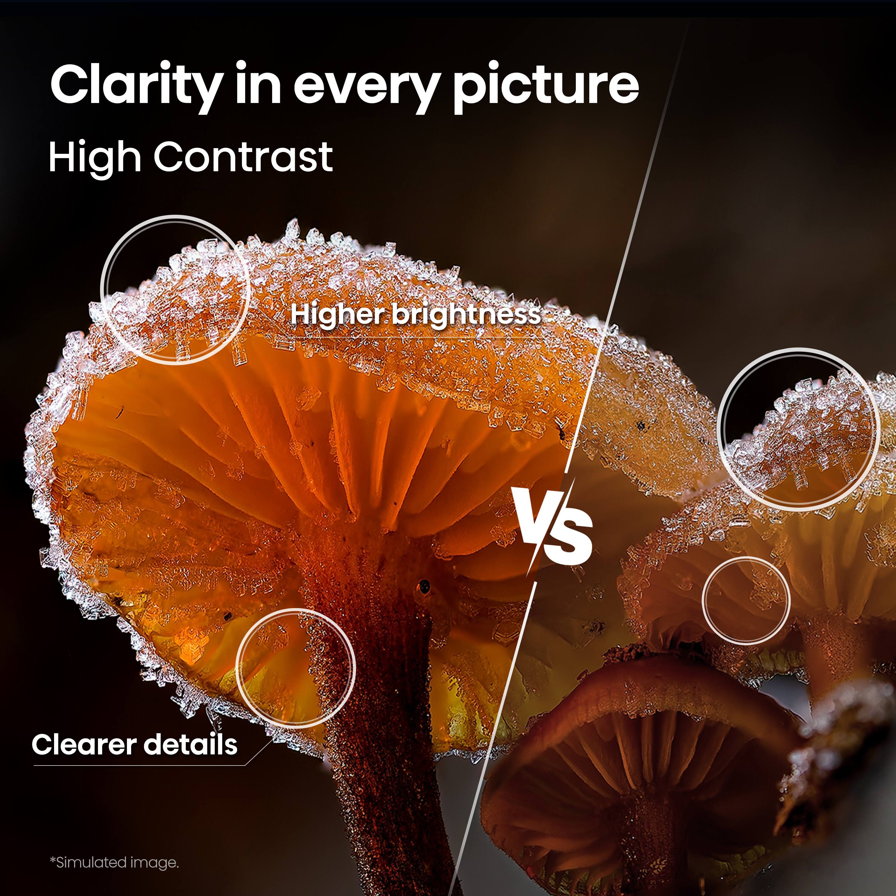 Clarity in every picture  
High Contrast  
Higher brightness  
Clearer details  
*Simulated image.