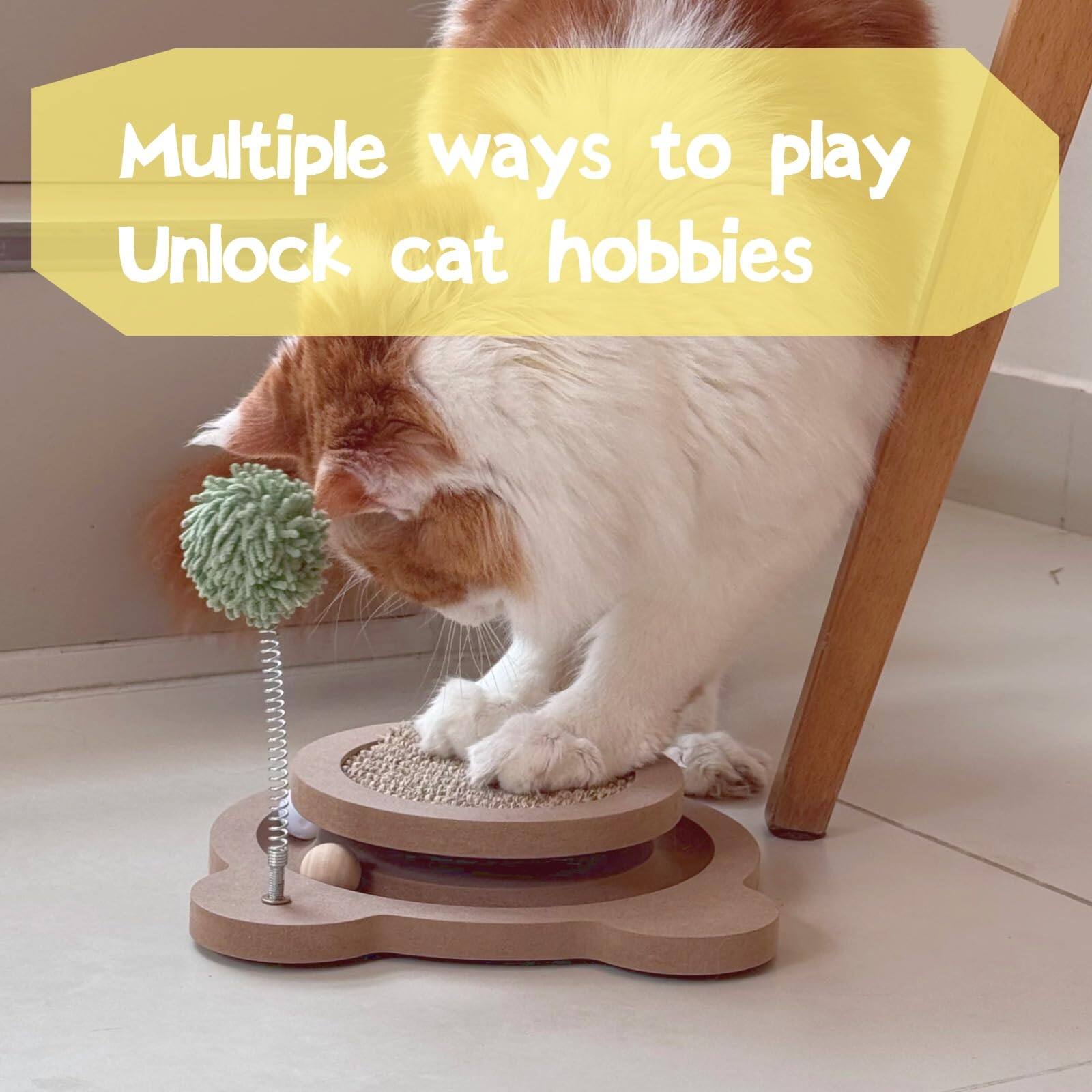 Multiple ways to play  
Unlock cat hobbies