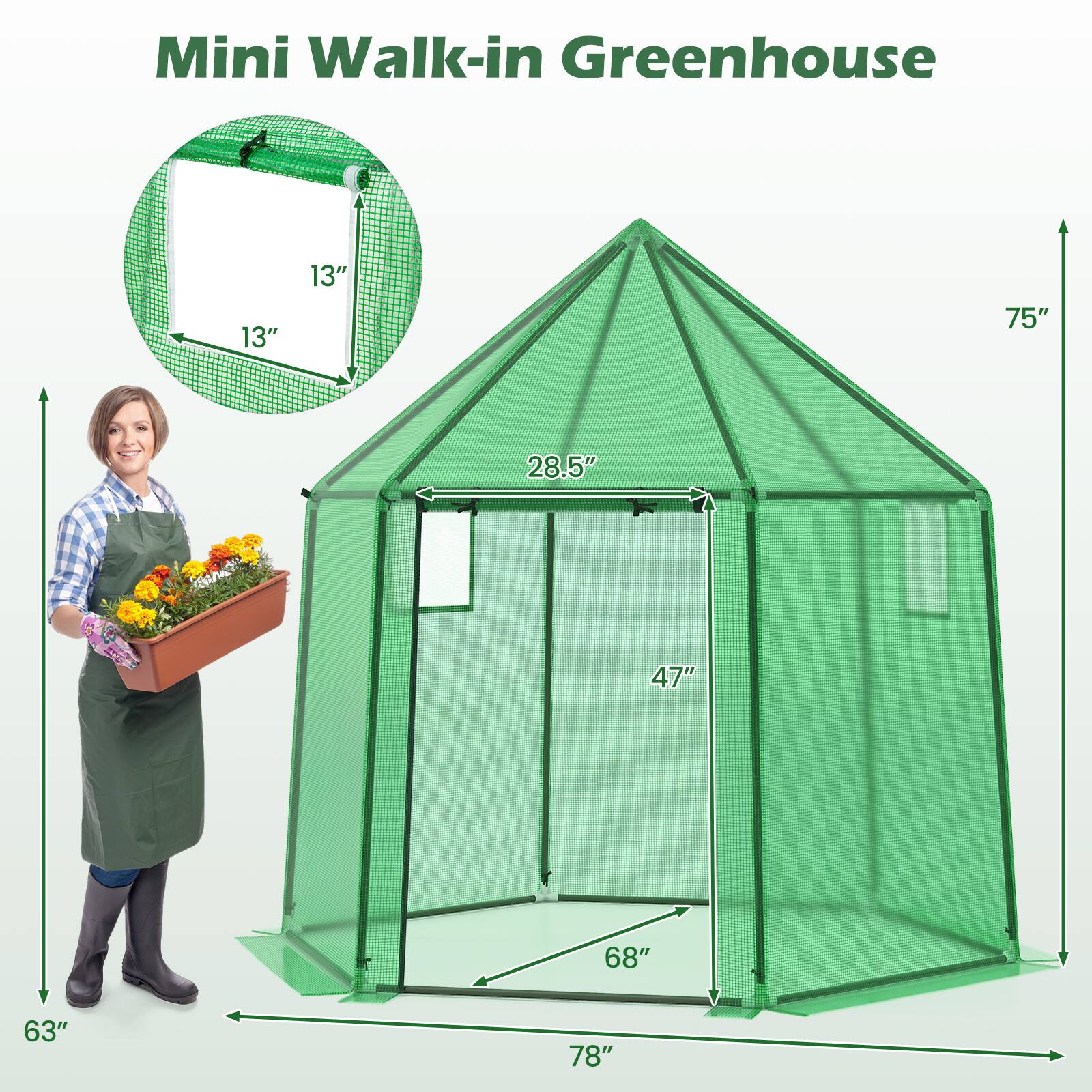 Mini Walk-in Greenhouse  
13" x 13" x 75" x 28.5" x 47" x 68" x 63" x 78"