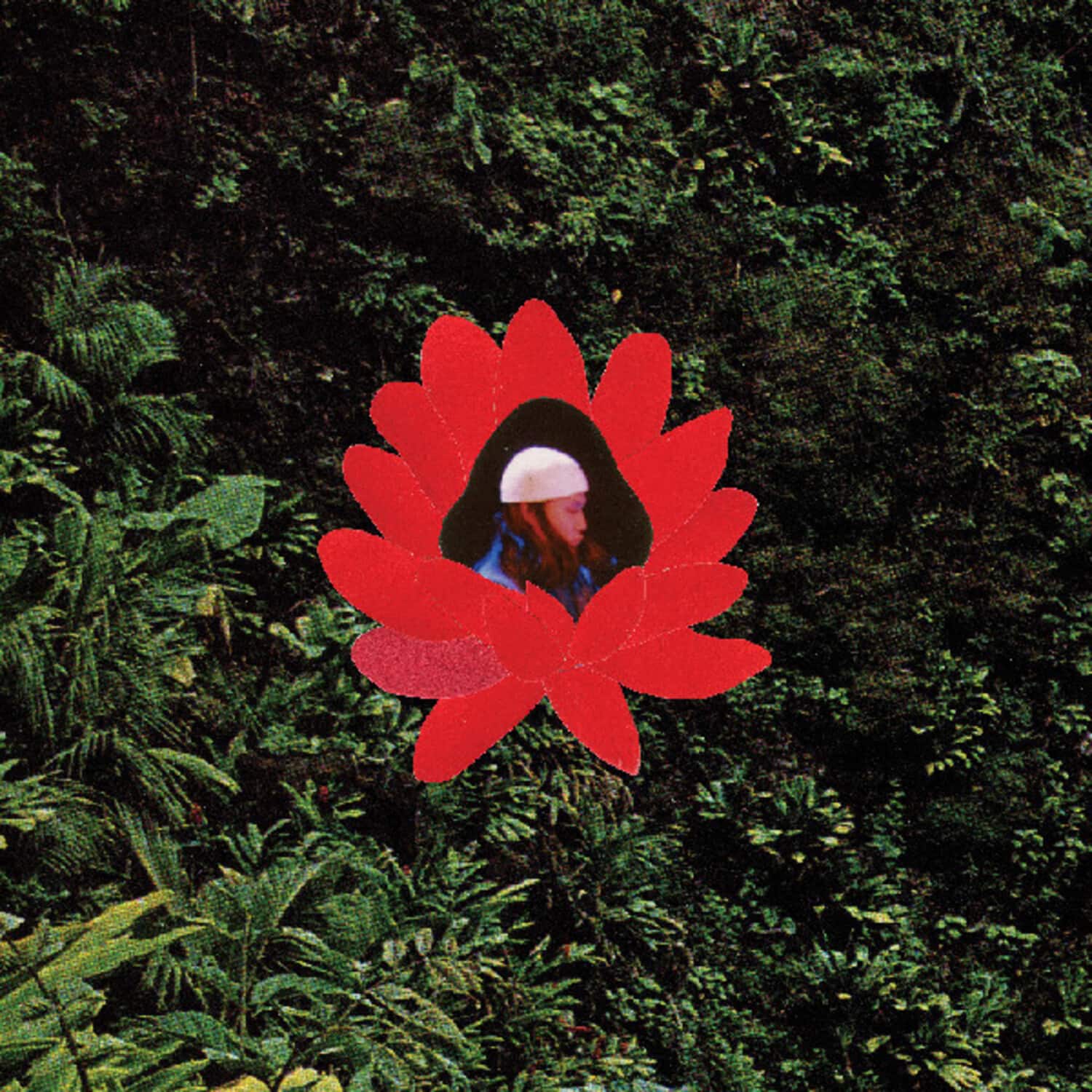 Lionmilk - When The Flowers Bloom   - VINYL LP price history on PriceWatchPro