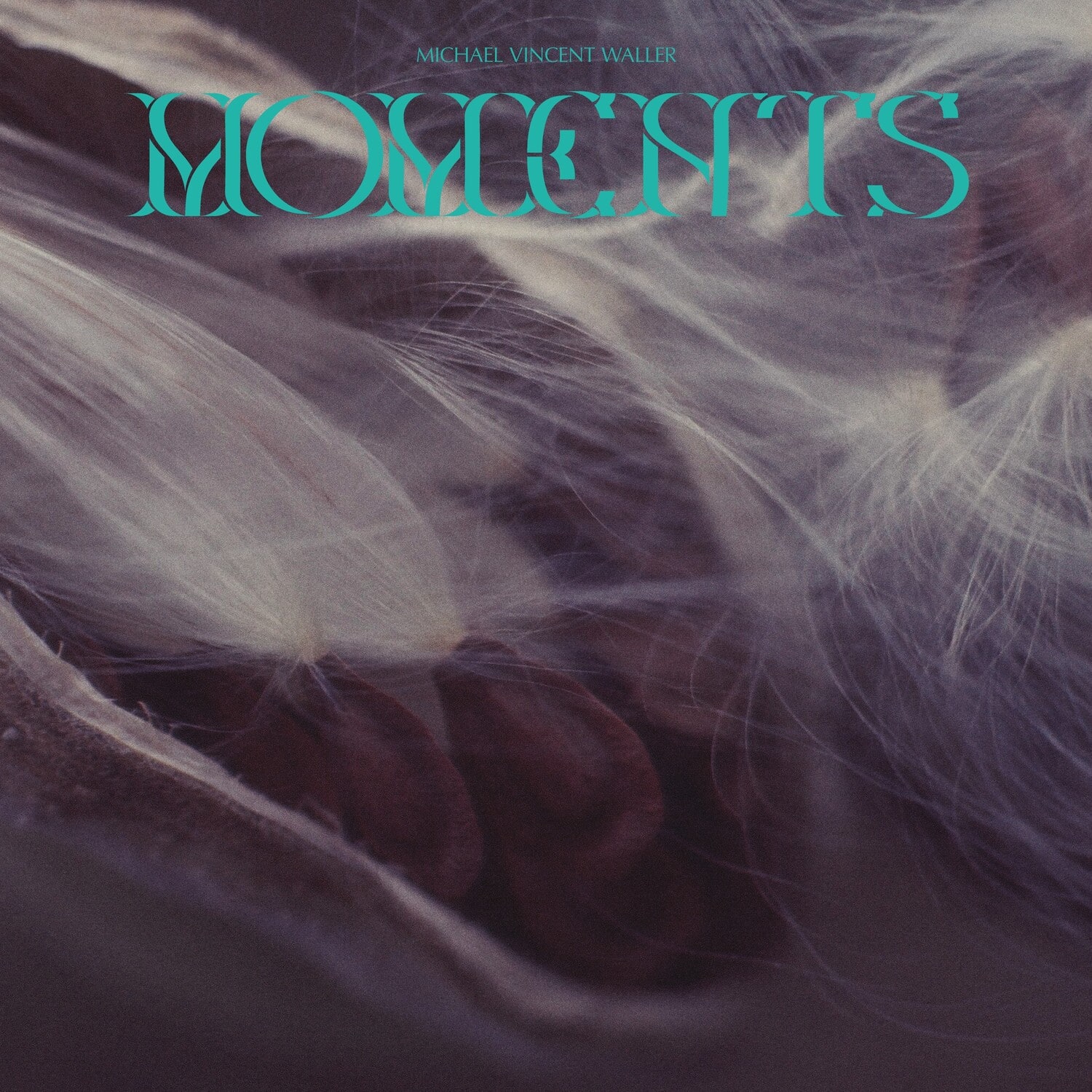 Michael Vincent Waller - Moments   - COMPACT DISCS [CD] price history on PriceWatchPro