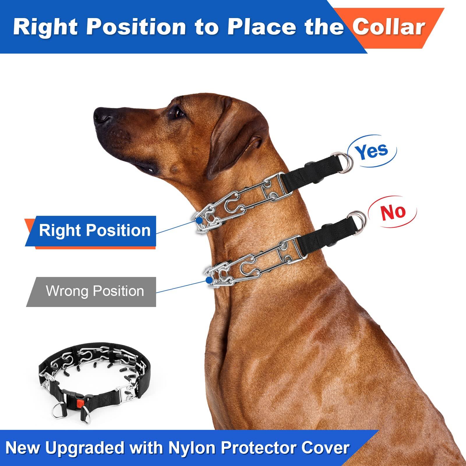 Right Position to Place the Collar

Yes  
Right Position  
No  
Wrong Position

New Upgraded with Nylon Protector Cover