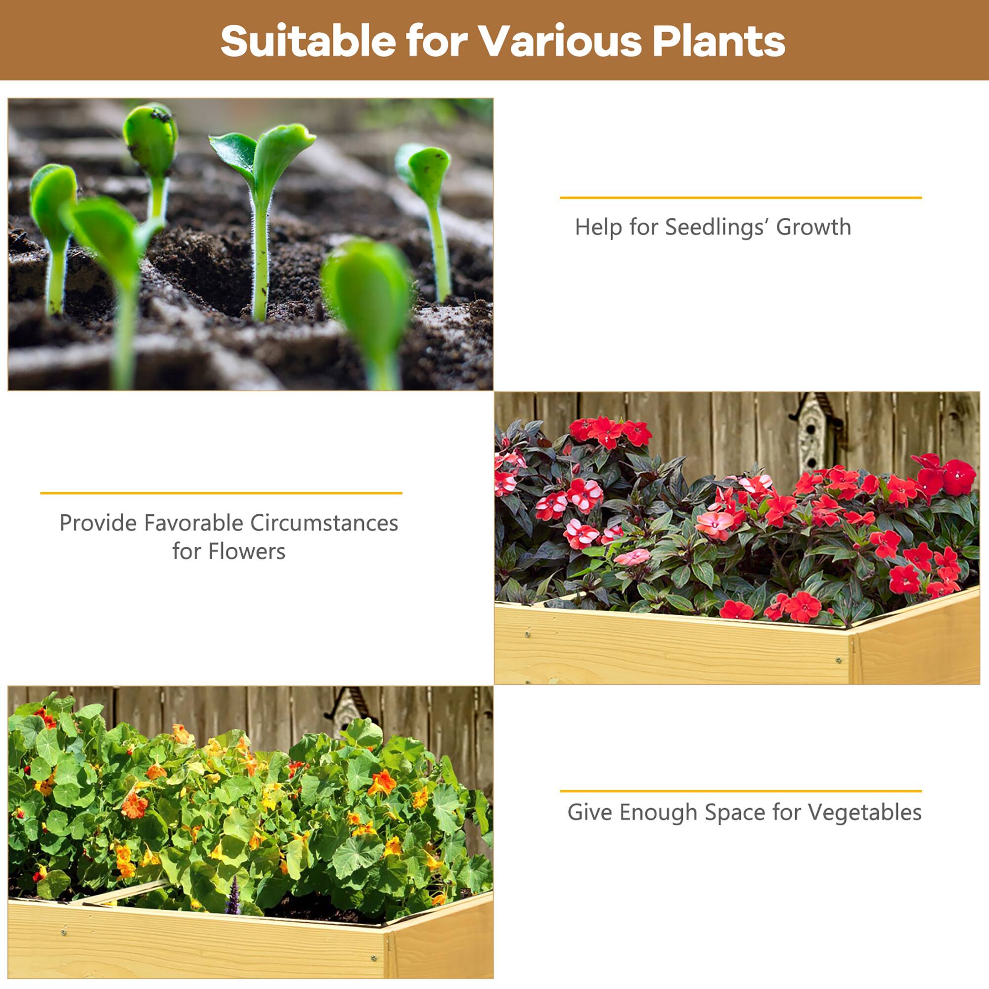Suitable for Various Plants: Help for Seedlings' Growth: Provide Favorable Circumstances for Flowers: Give Enough Space for Vegetables.