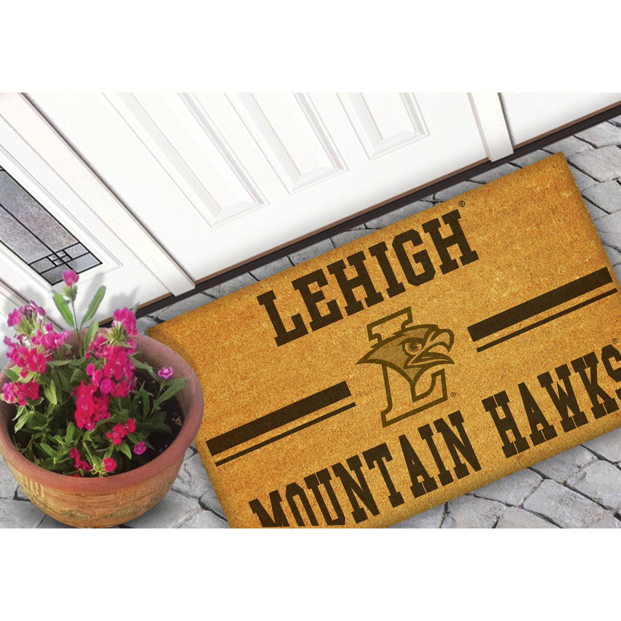 LEHIGH  
MOUNTAIN HAWKS