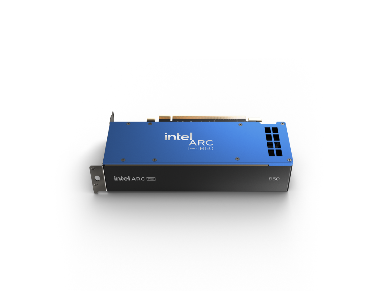 intel ARC PRO B50  
intel ARC PRO B50