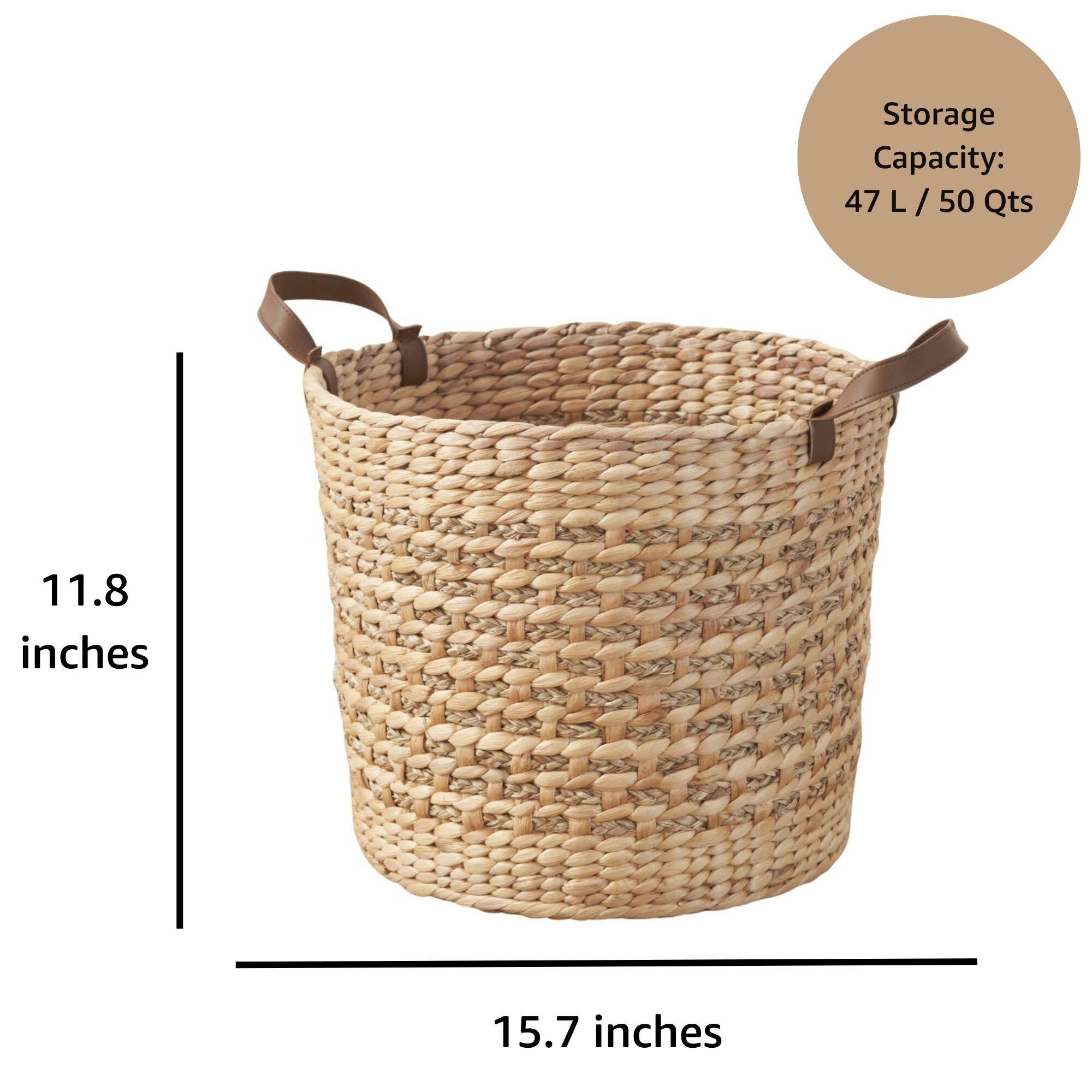 Storage Capacity: 47 L / 50 Qts  
11.8 inches  
15.7 inches