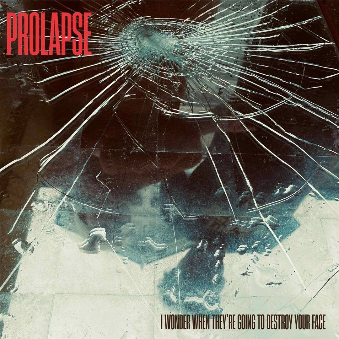I Wonder When They're Going to Destroy Your Face [LP] [VINYL] price history on PriceWatchPro