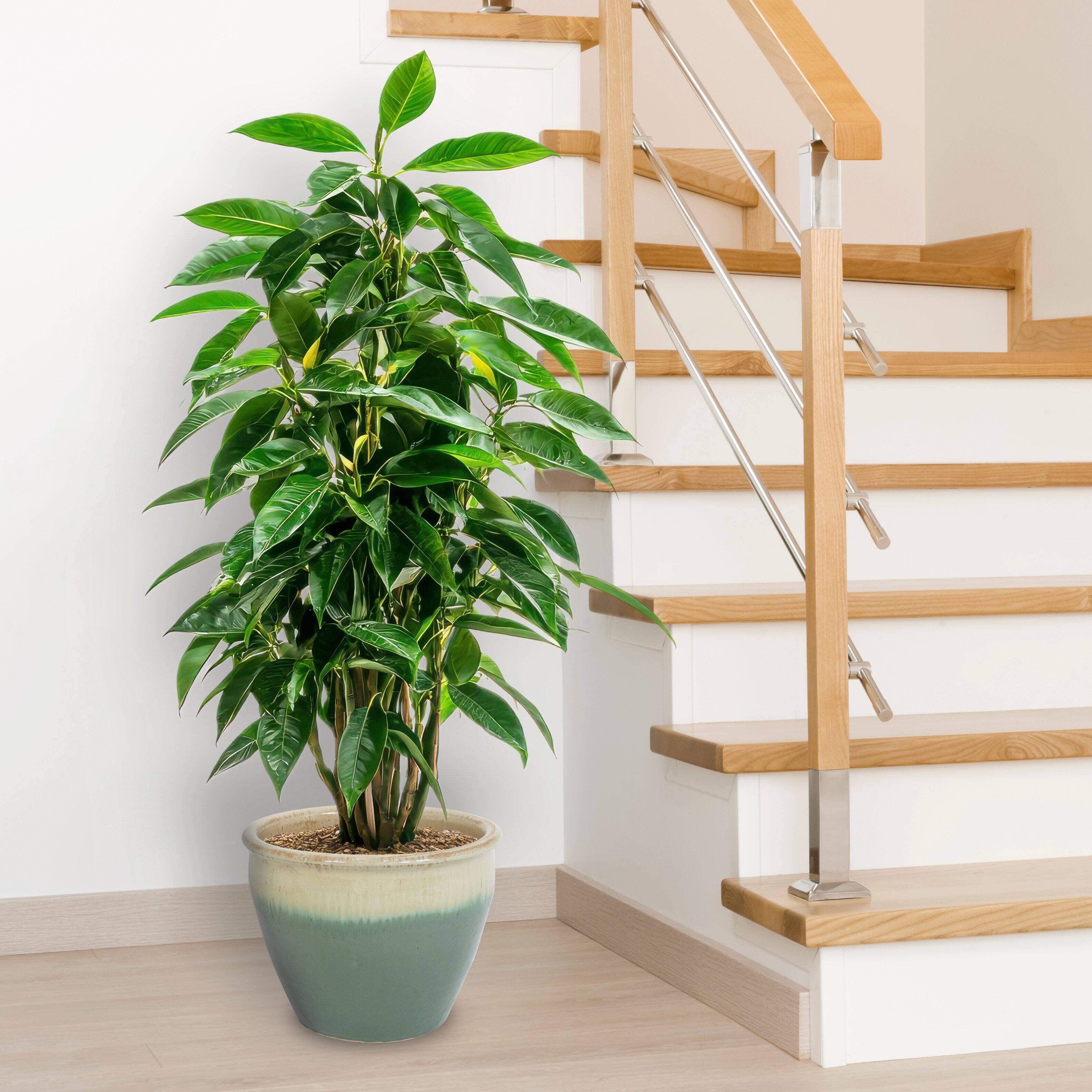 Alt View 8. Sunnydaze - 14.5 in Chalet High-Fired Glazed Ceramic Planter - Seafoam.