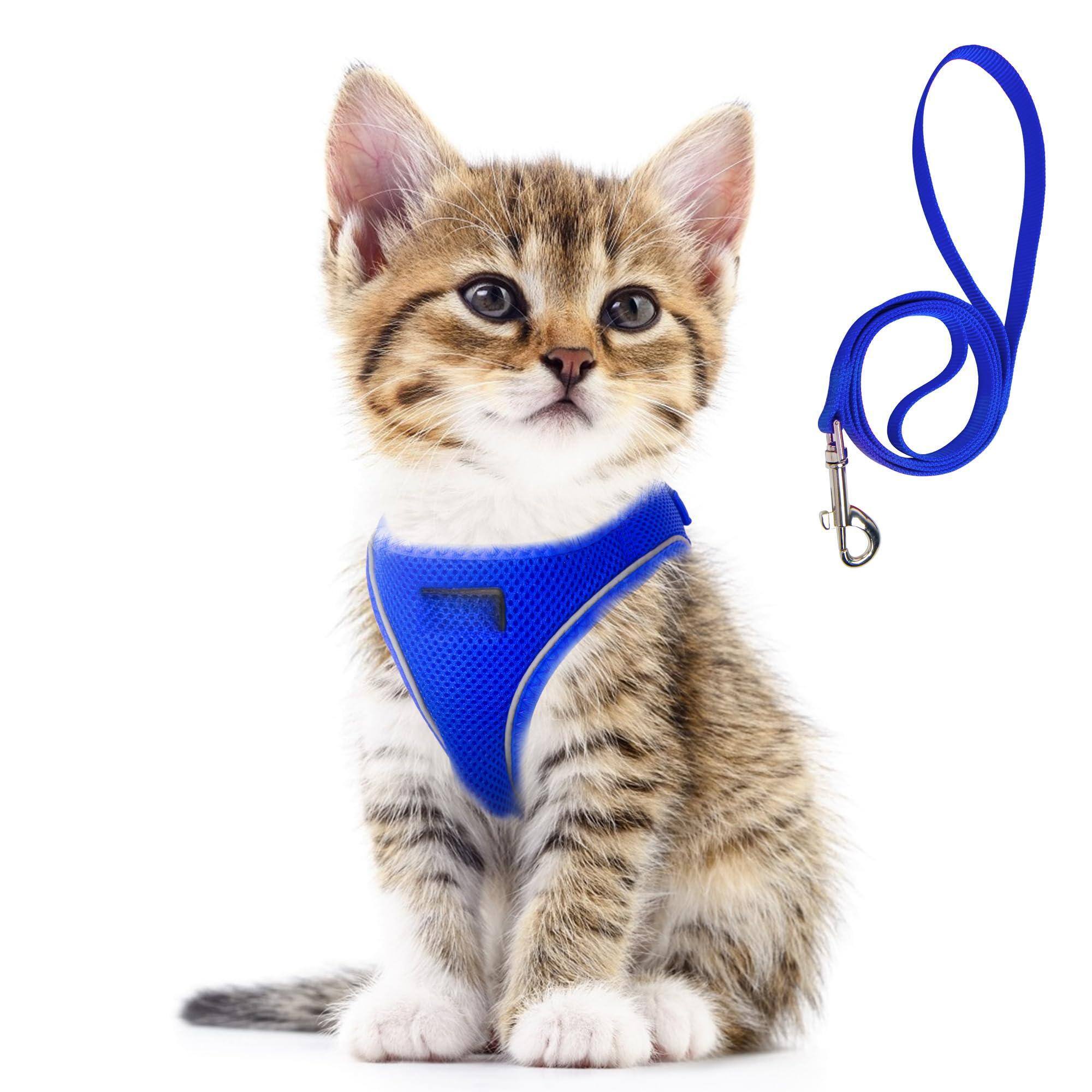 Blue-XXS (Neck:11.4"-12.2"; Girth:12.6"-14.2")