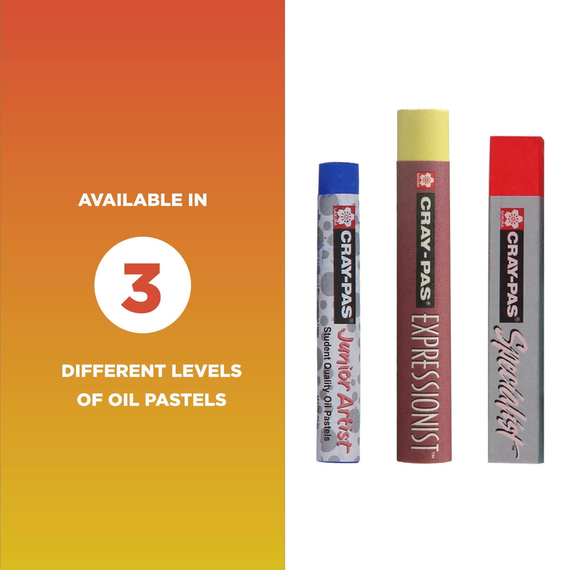 AVAILABLE IN 3 DIFFERENT LEVELS OF OIL PASTELS

- Student Quality Oil Pastels
- CRAY-PAS Junior Artist
- CRAY-PAS EXPRESSIONIST
- CRAY-PAS Specialist