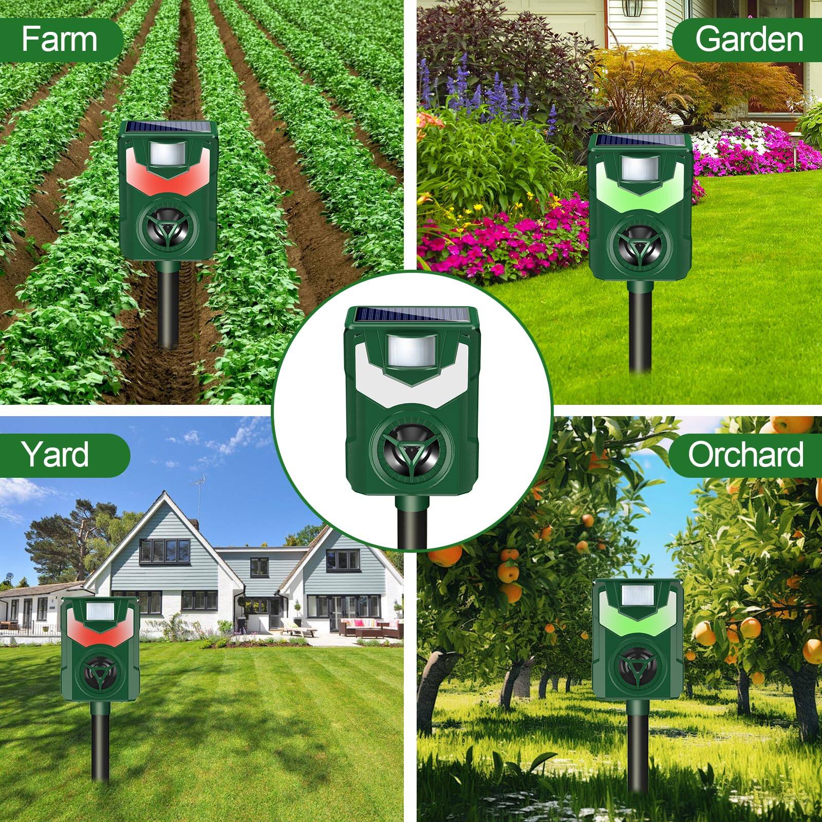 Farm  
Garden  
Yard  
Orchard