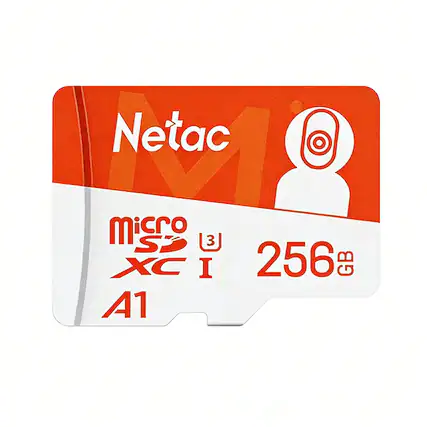Netac Micro SDXC I A1 256 GB