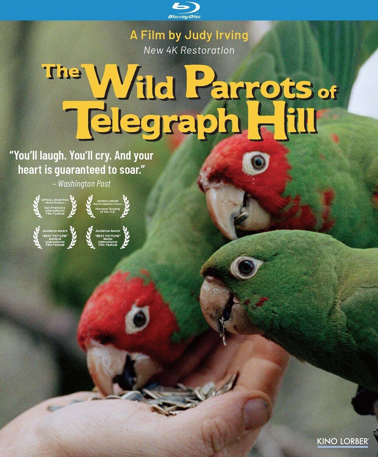 The Wild Parrots of Telegraph Hill   - BLU-RAY price history on PriceWatchPro