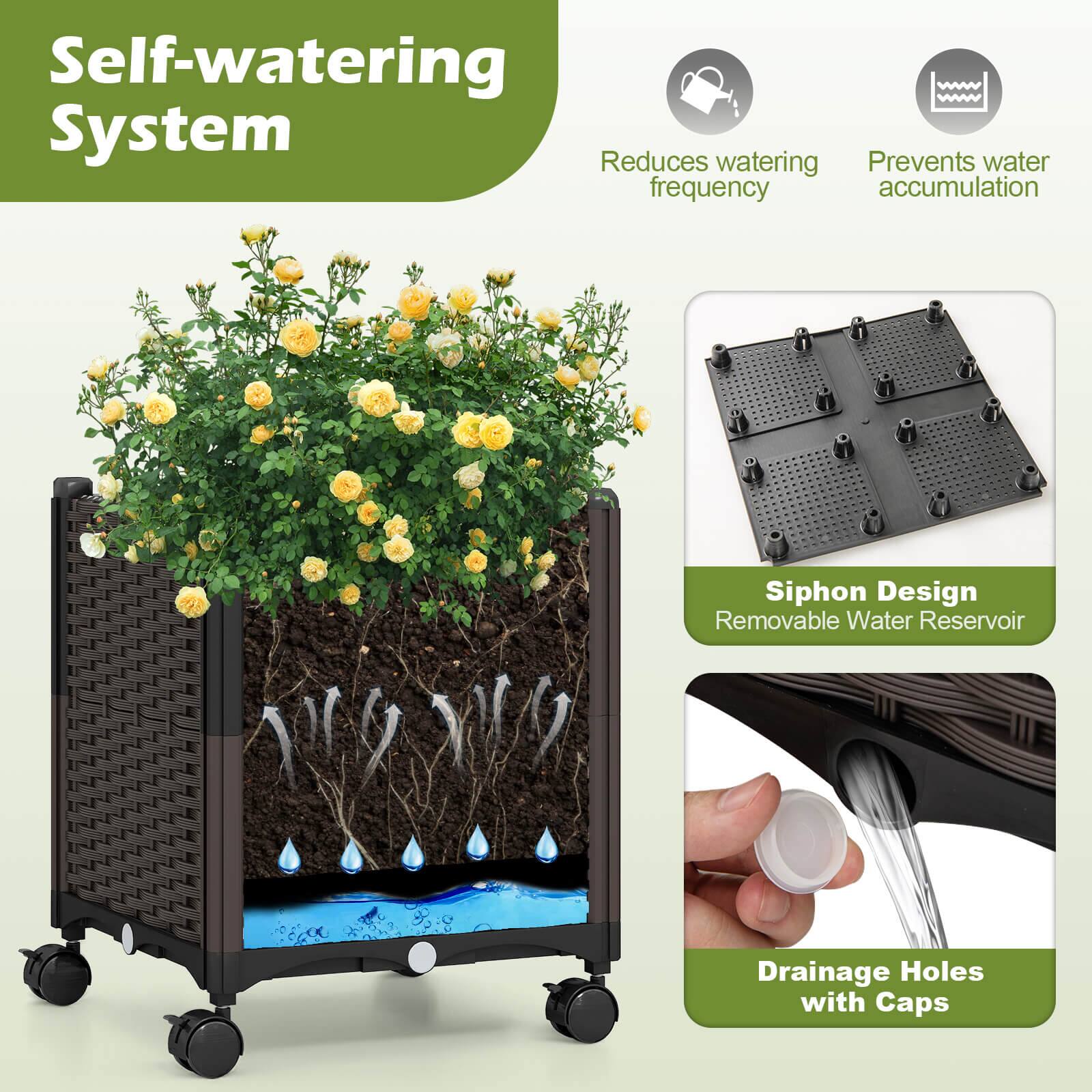 Self-watering System

- Reduces watering frequency
- Prevents water accumulation
- Siphon Design
- Removable Water Reservoir
- Drainage Holes with Caps