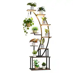 Plant Stands
