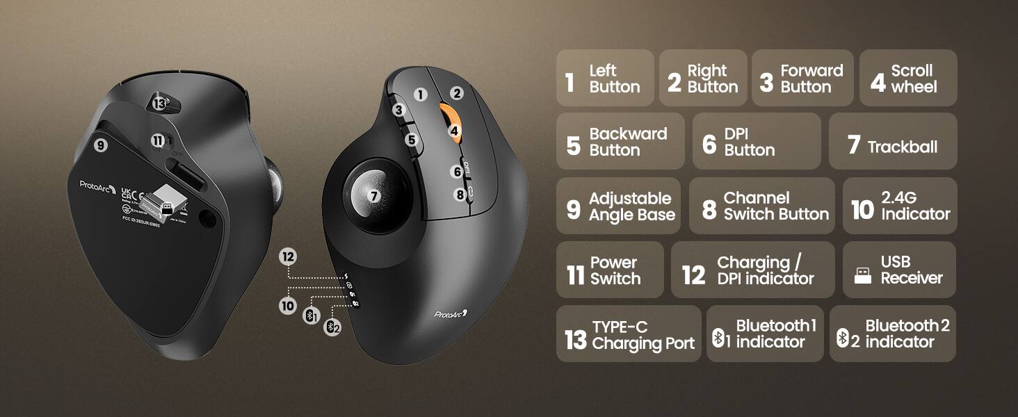 13
3
1
2
Left 1 Button
Right 2 Button
Forward 3 Button
Scroll 4 wheel
9 11 ON ProtoArc C
OFF
7
5
4 6 8
Backward 5 Button Adjustable 9 Angle Base
DPI 6 Button 7 Trackball Channel 2.4G 8 Switch Button 10 Indicator
12
Power 11 Switch
Charging / 12 DPI indicator
USB Receiver
10
&
02
ProtoArc
TYPE-C 13 Charging Port
Bluetooth1 indicator
Bluetooth 2 2 indicator