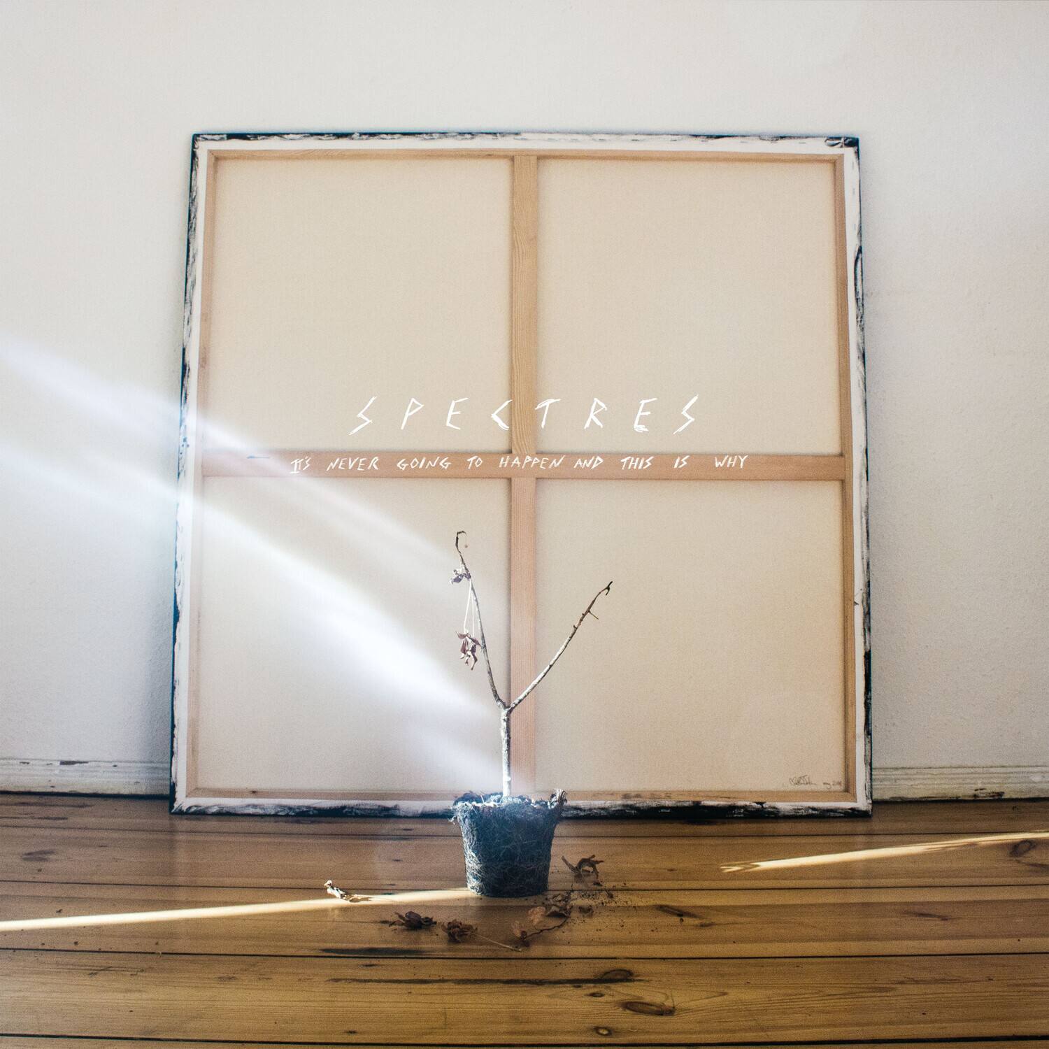 Spectres - It's Never Going To Happen And This Is Why - VINYL LP