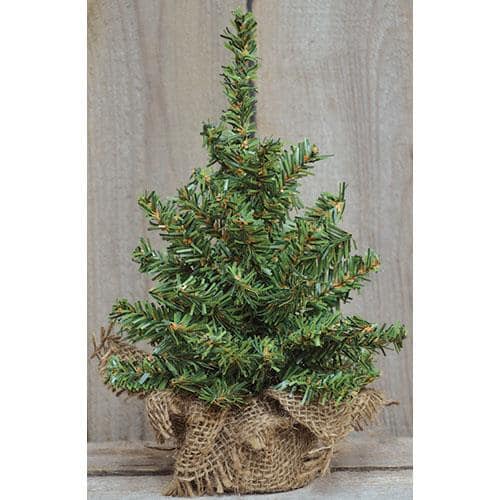 BreeBe - Noble Pine Tree 8" - Green
