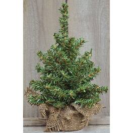 BreeBe - Noble Pine Tree 8" - Green