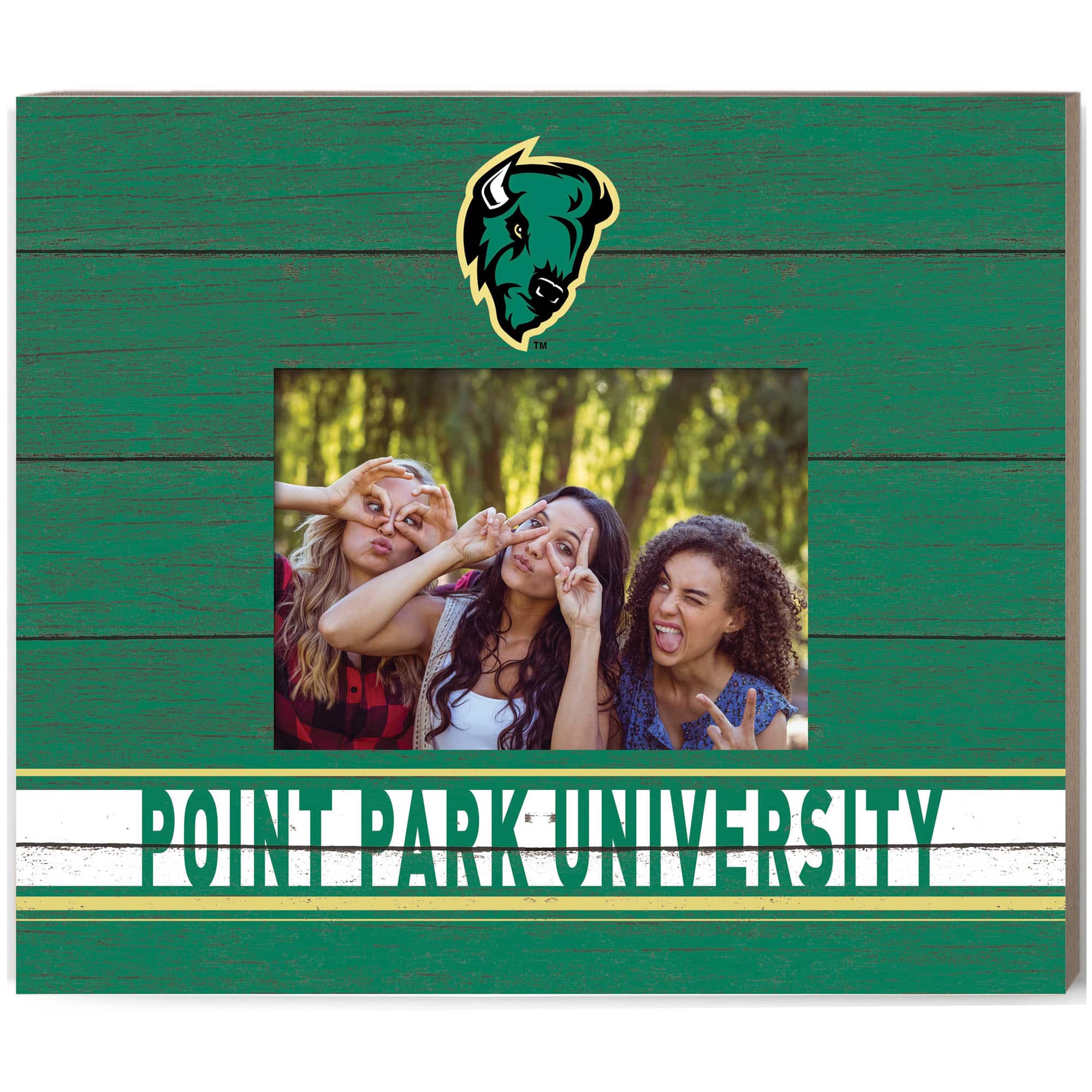Jardine - Point Park Pioneers 11'' x 13'' Team Spirit Scholastic Picture Frame - Green price history on PriceWatchPro