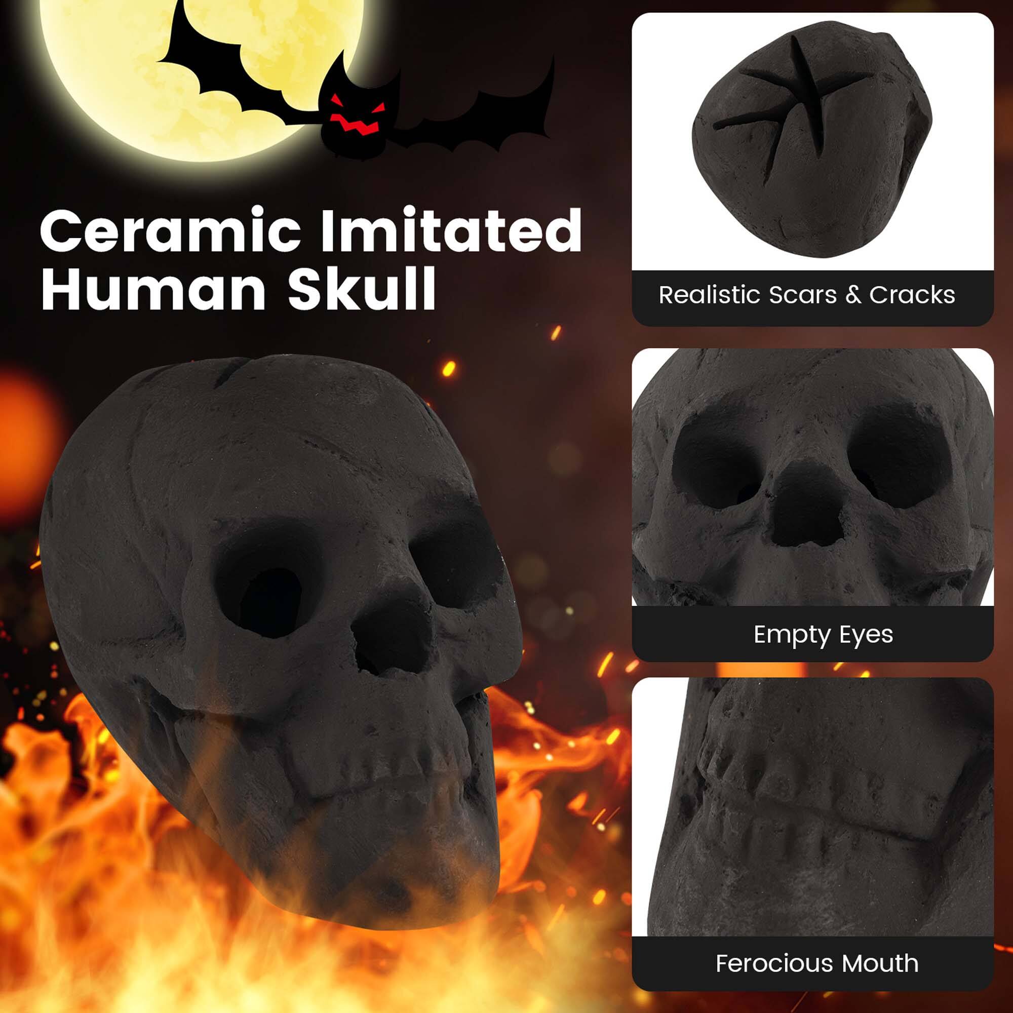Ceramic Imitated Human Skull

- Realistic Scars & Cracks
- Empty Eyes
- Ferocious Mouth