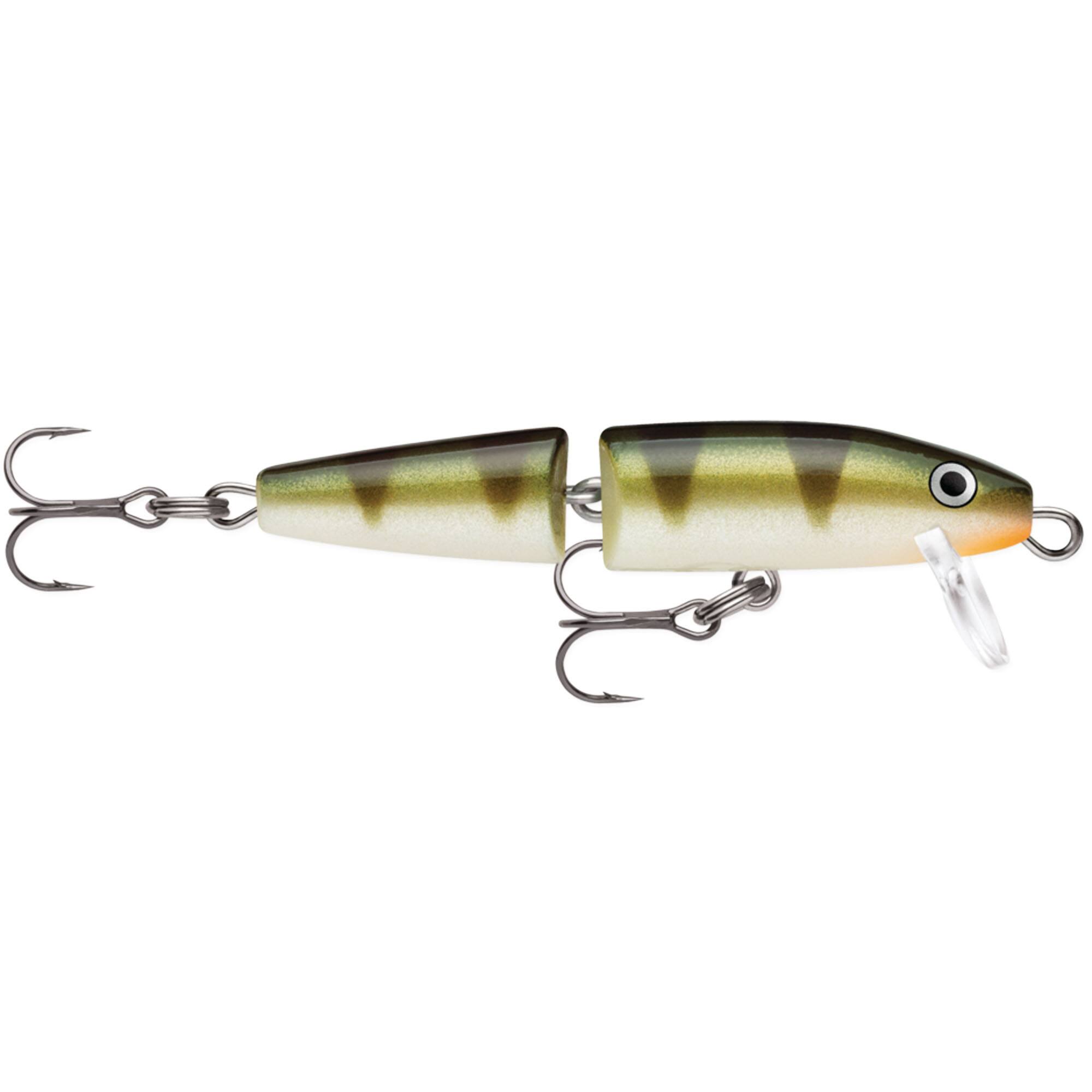 Yellow Perch
