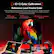 E E<2 < 2 Color Calibration Reference-Level Precise Color Supports SRGB and DCI-P3 professional color modes, and is factory-calibrated with a <2 process to ensure consistency between actual and displayed colors, providing a reliable reference for professional work. 99% sRGB 95% DCI-P3 A E < 2 Color Calibration Color Gamut Coverage, CE 1931 Color Gamut Coverage, CIE 1976 sRGB/DCI-P3 The brightness of the power indicator can be adjusted in multiple levels.